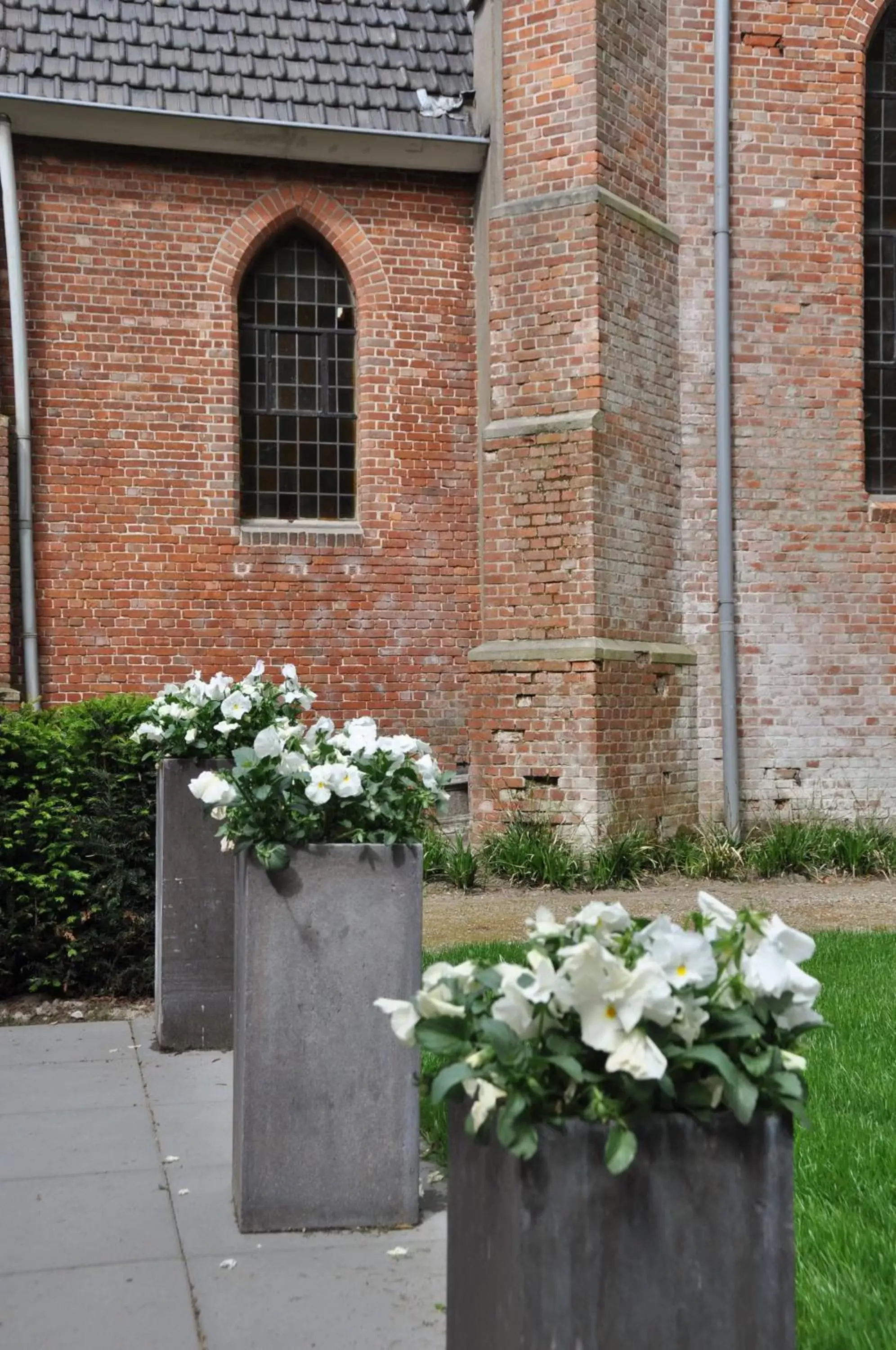 Garden, Property Building in Klooster Nieuwkerk Goirle