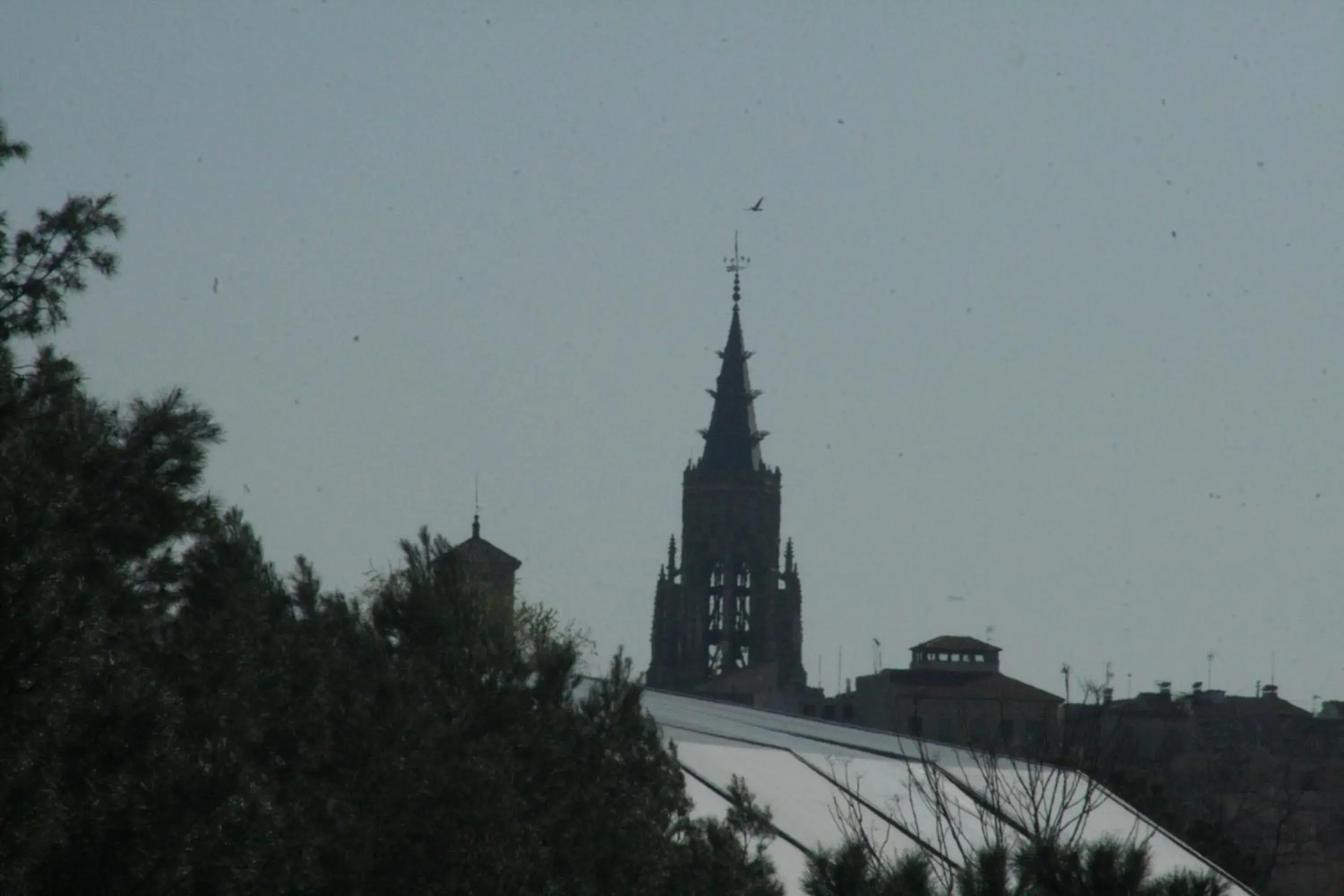 View (from property/room), Nearby Landmark in Hotel Godofredo