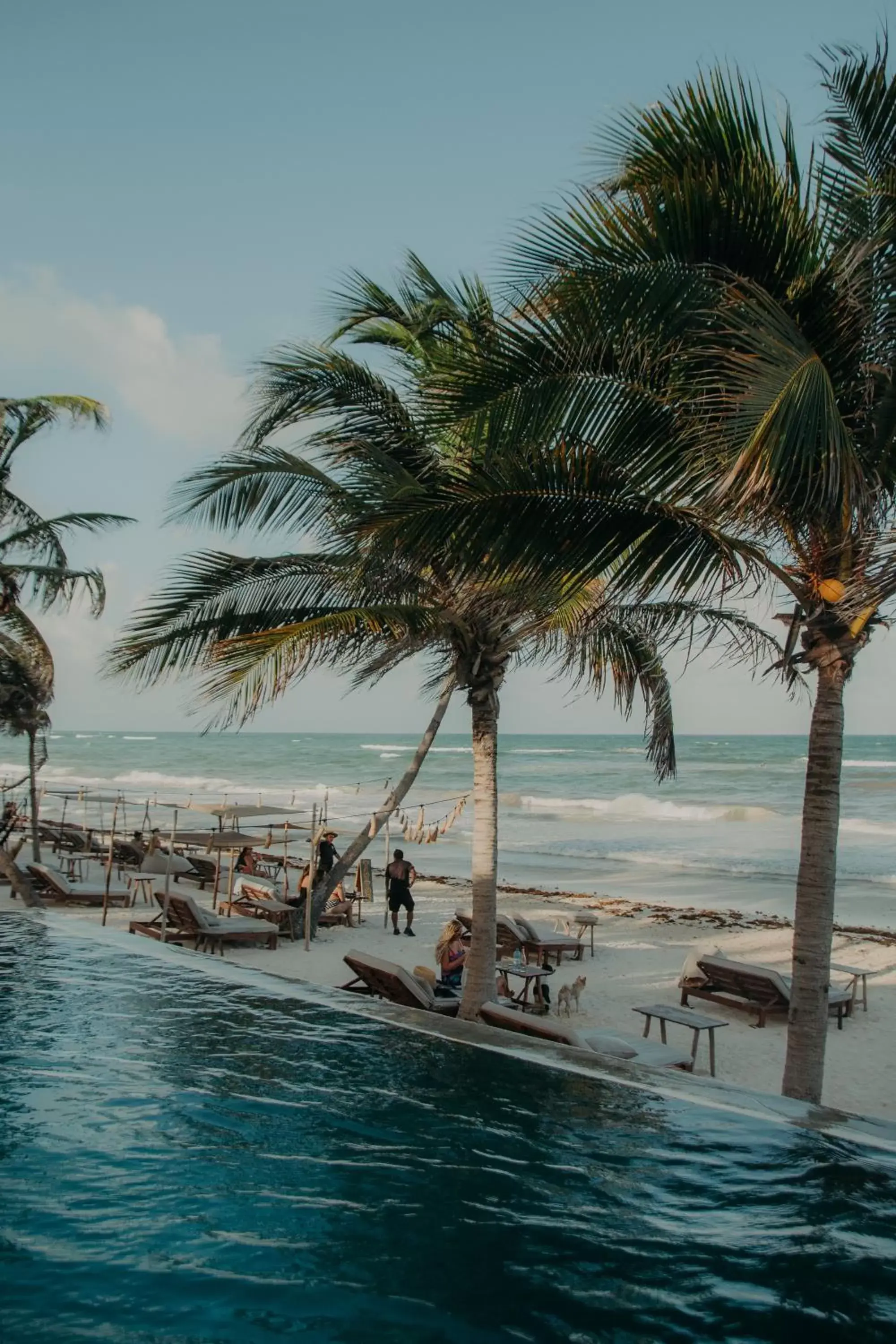 Pool view, Beach in Delek Tulum