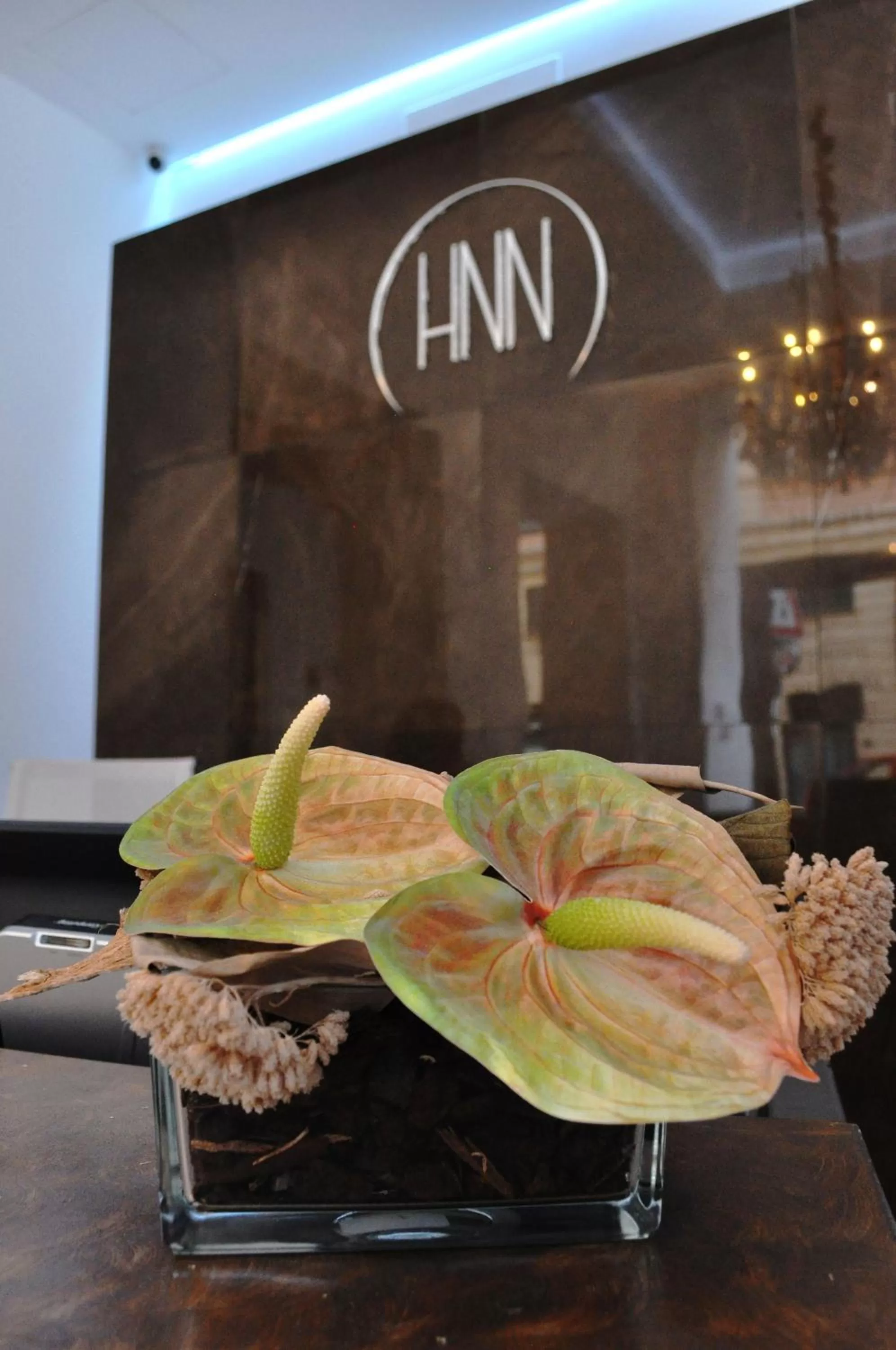 Property logo or sign in HNN Luxury Suites