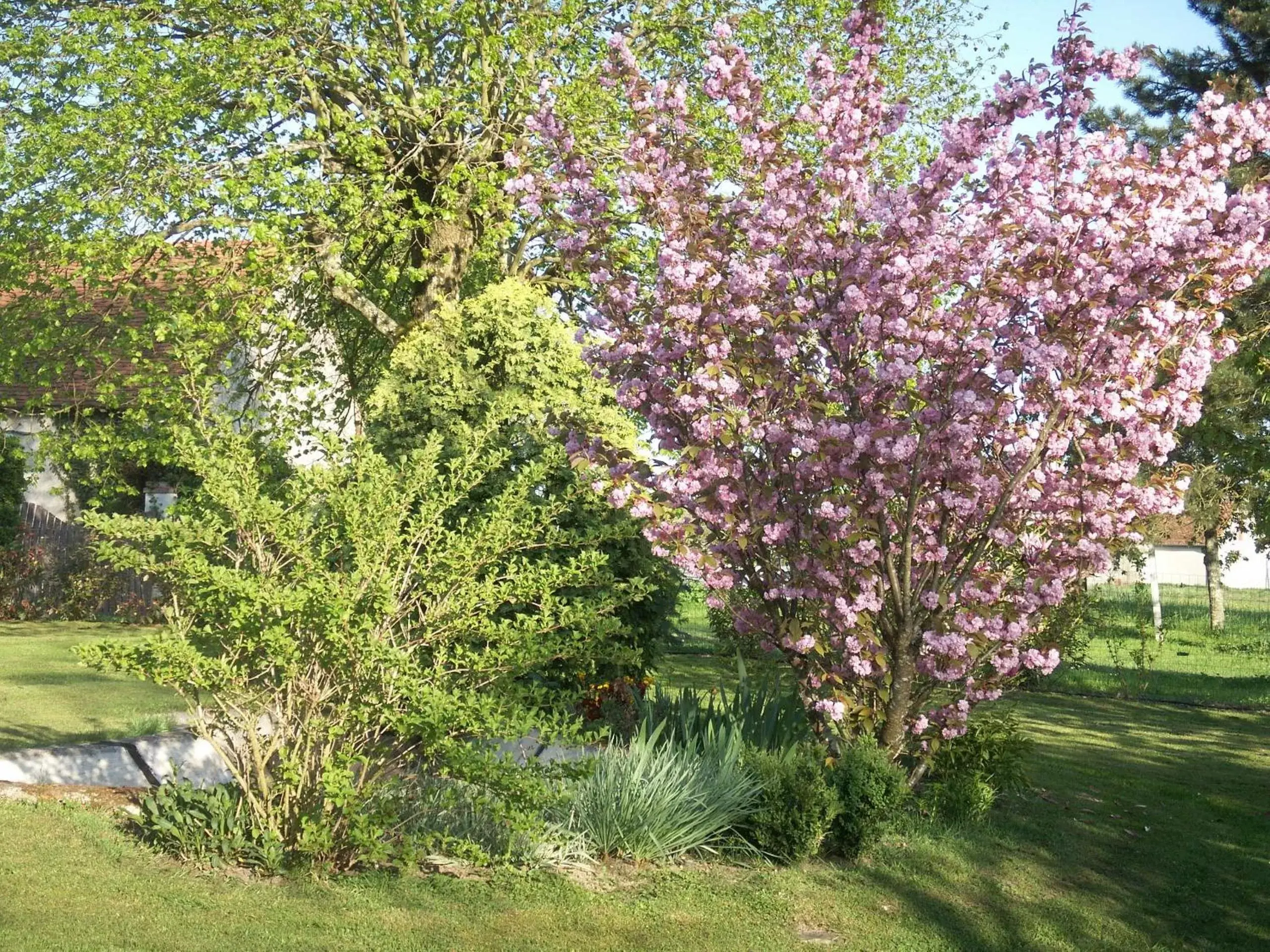 Garden in Le Clos des Perraudières