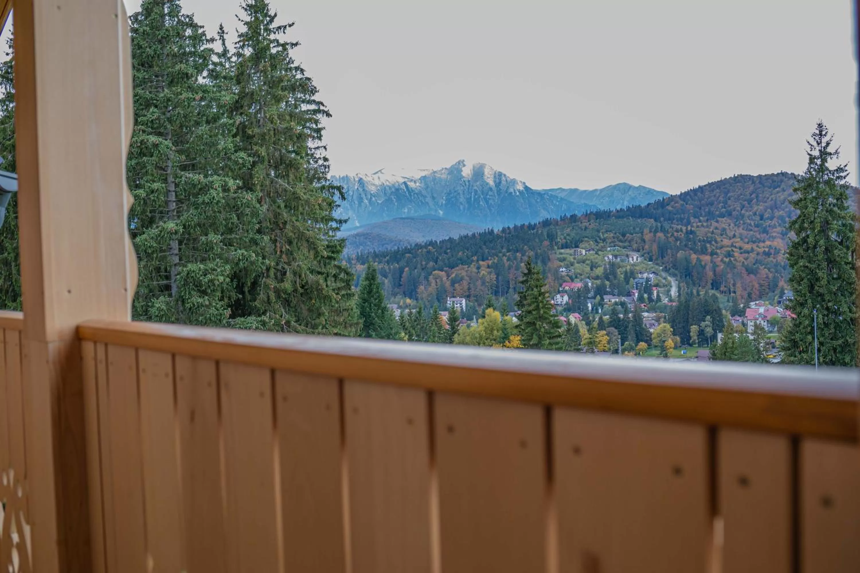 Balcony/Terrace in Ursuletul Predeal