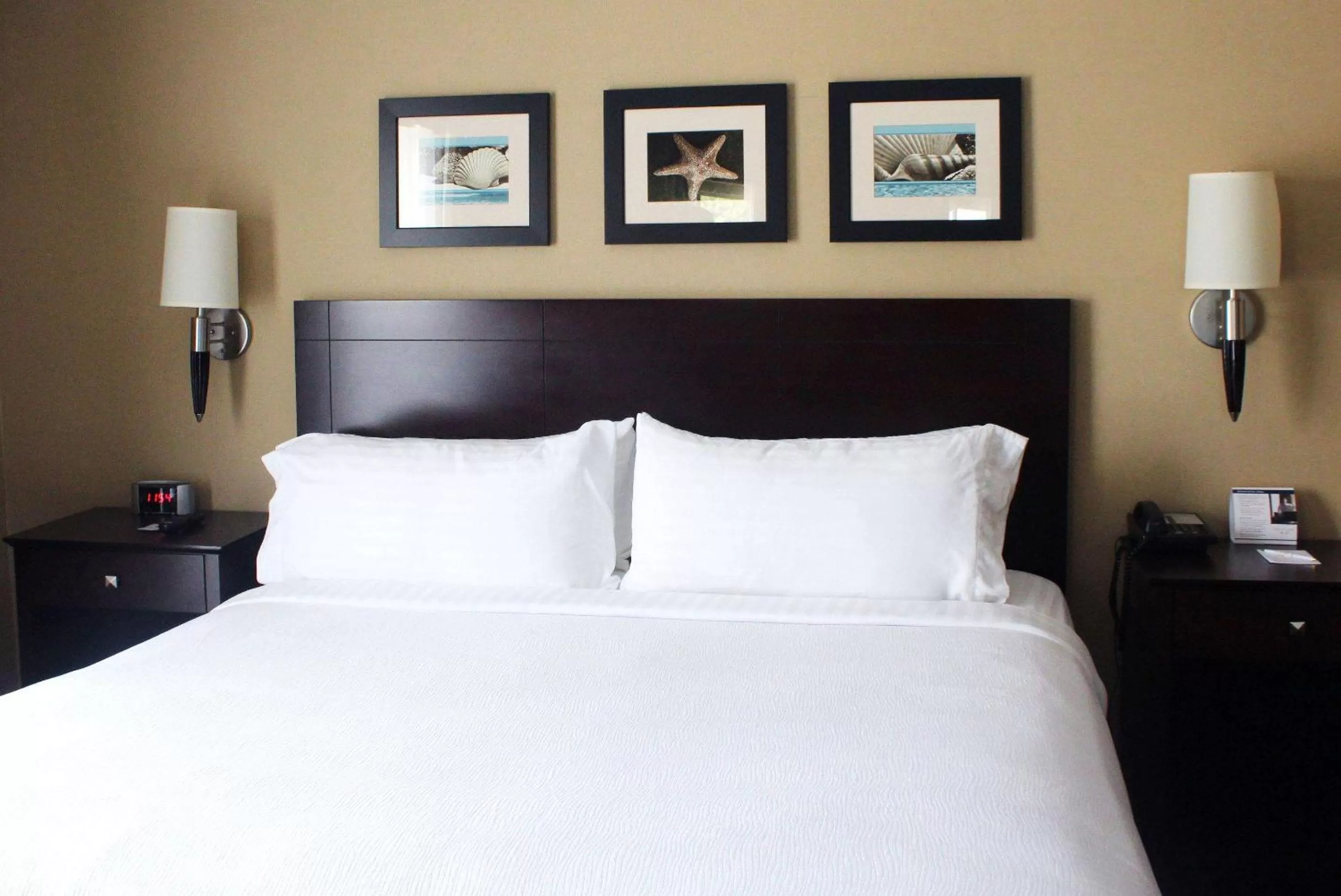 Photo of the whole room, Bed in The Volare, an Ascend Collection Hotel