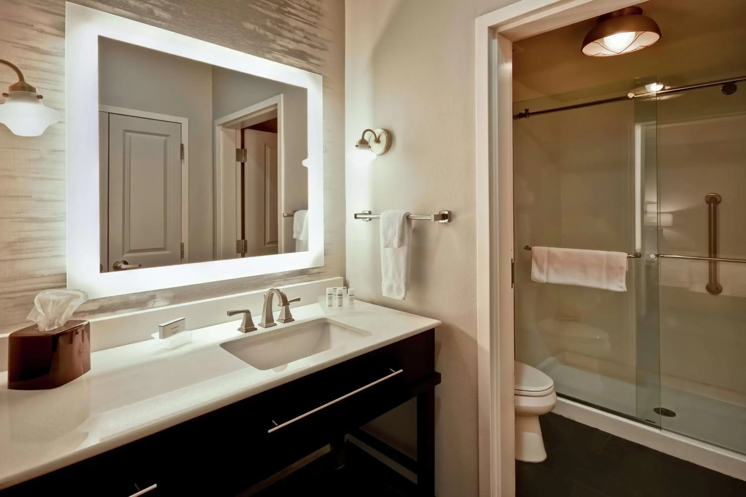 Bathroom in Homewood Suites by Hilton Dallas Arlington South