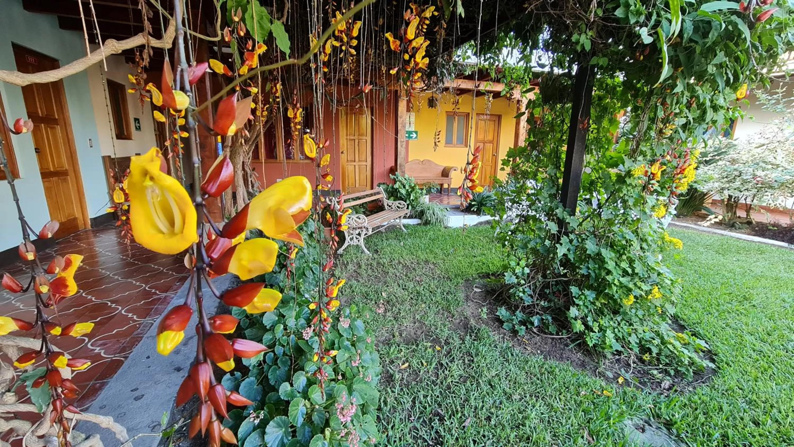 Garden in Hotel San Jorge by Porta Hotels