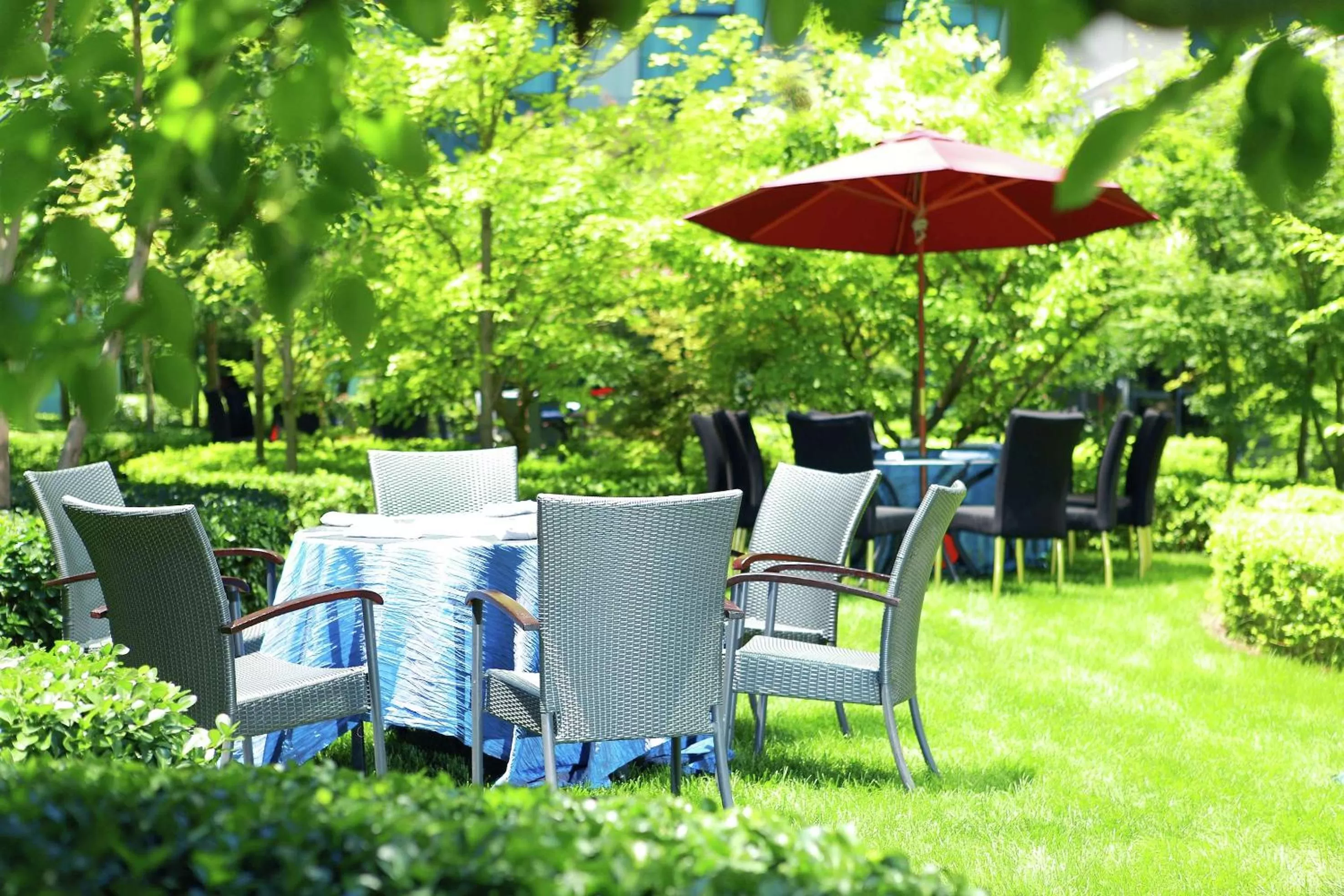 Garden in DoubleTree by Hilton Beijing