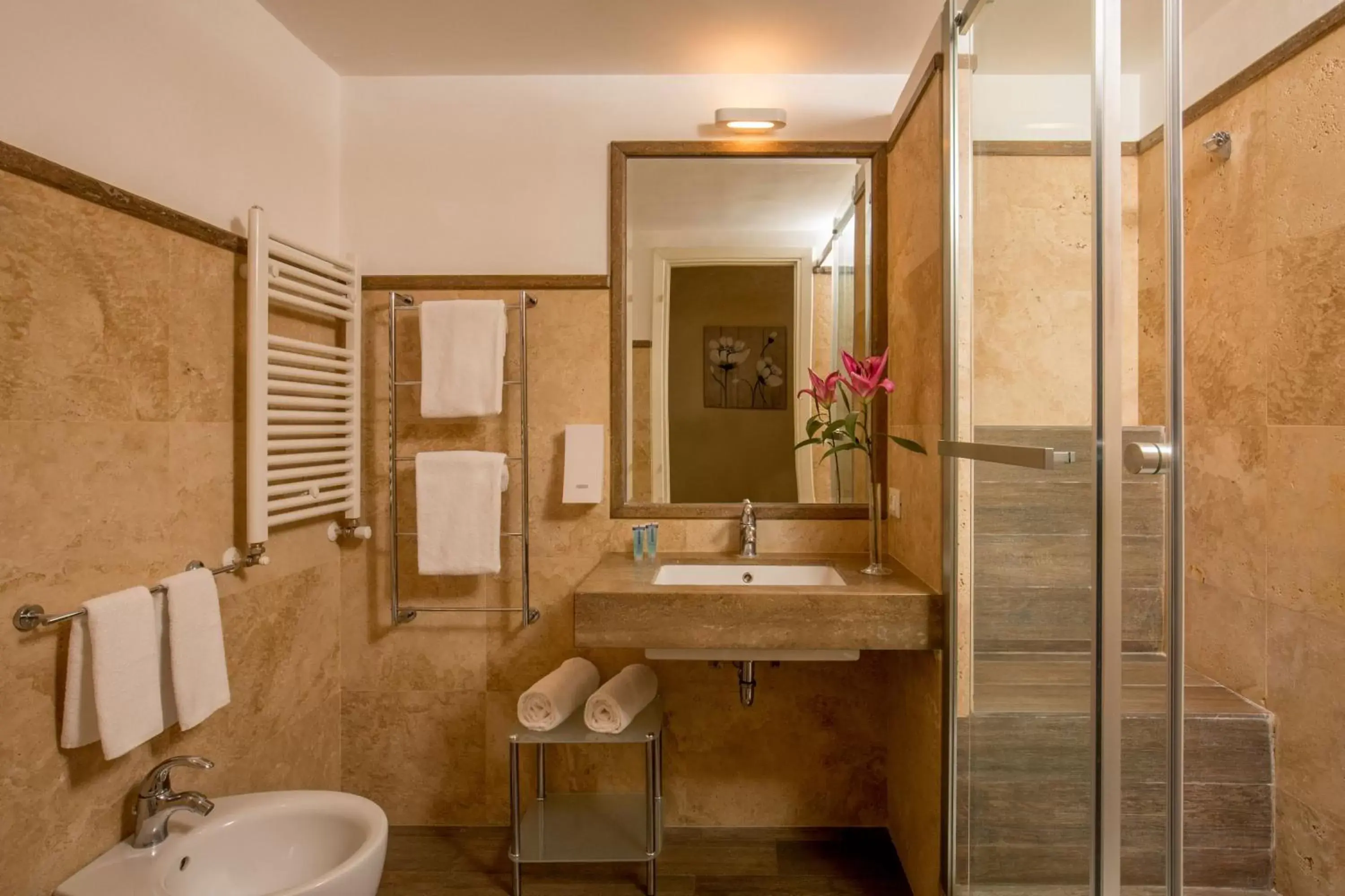 Shower, Bathroom in Aenea Superior Inn