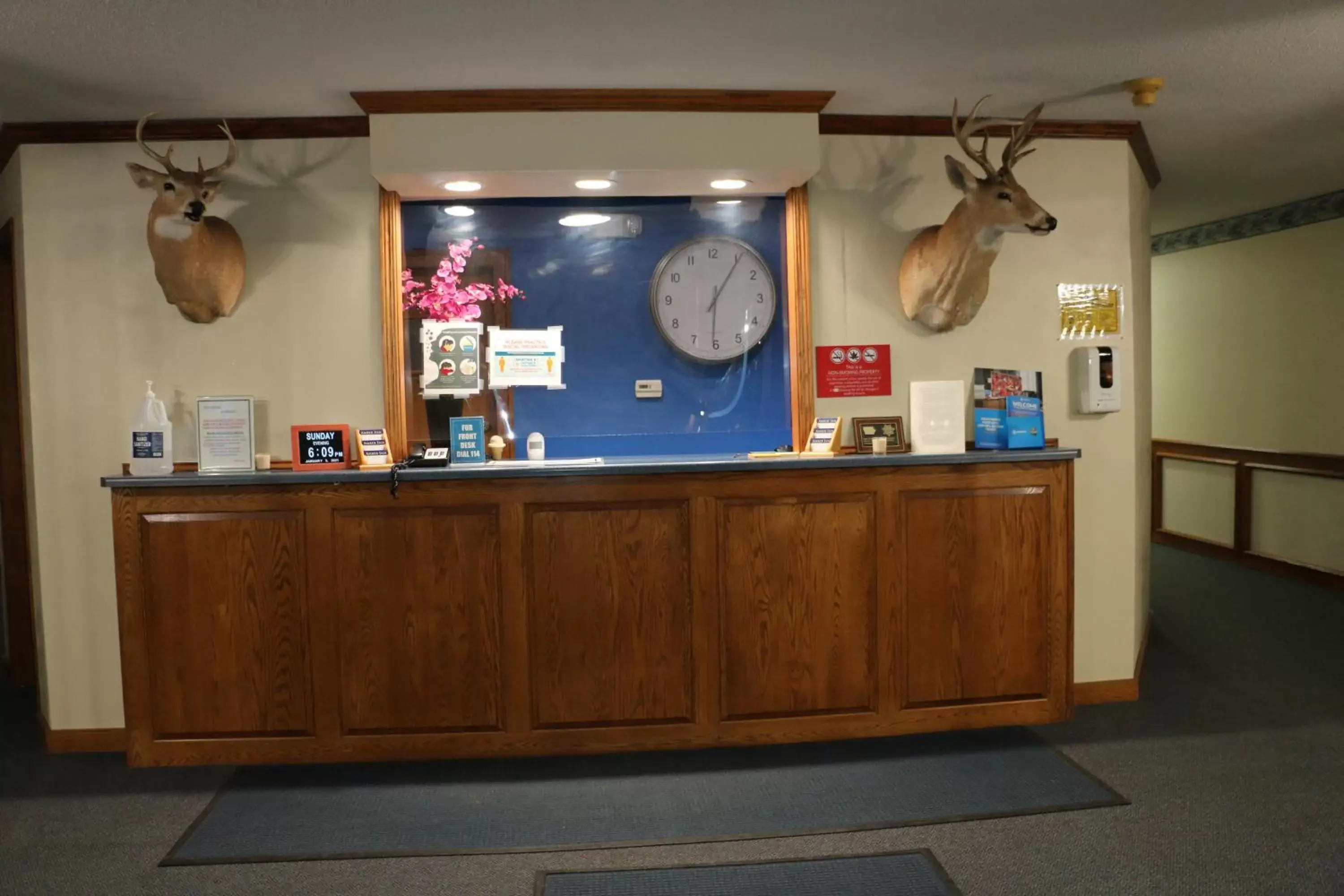 Property building, Lobby/Reception in Amber Inn