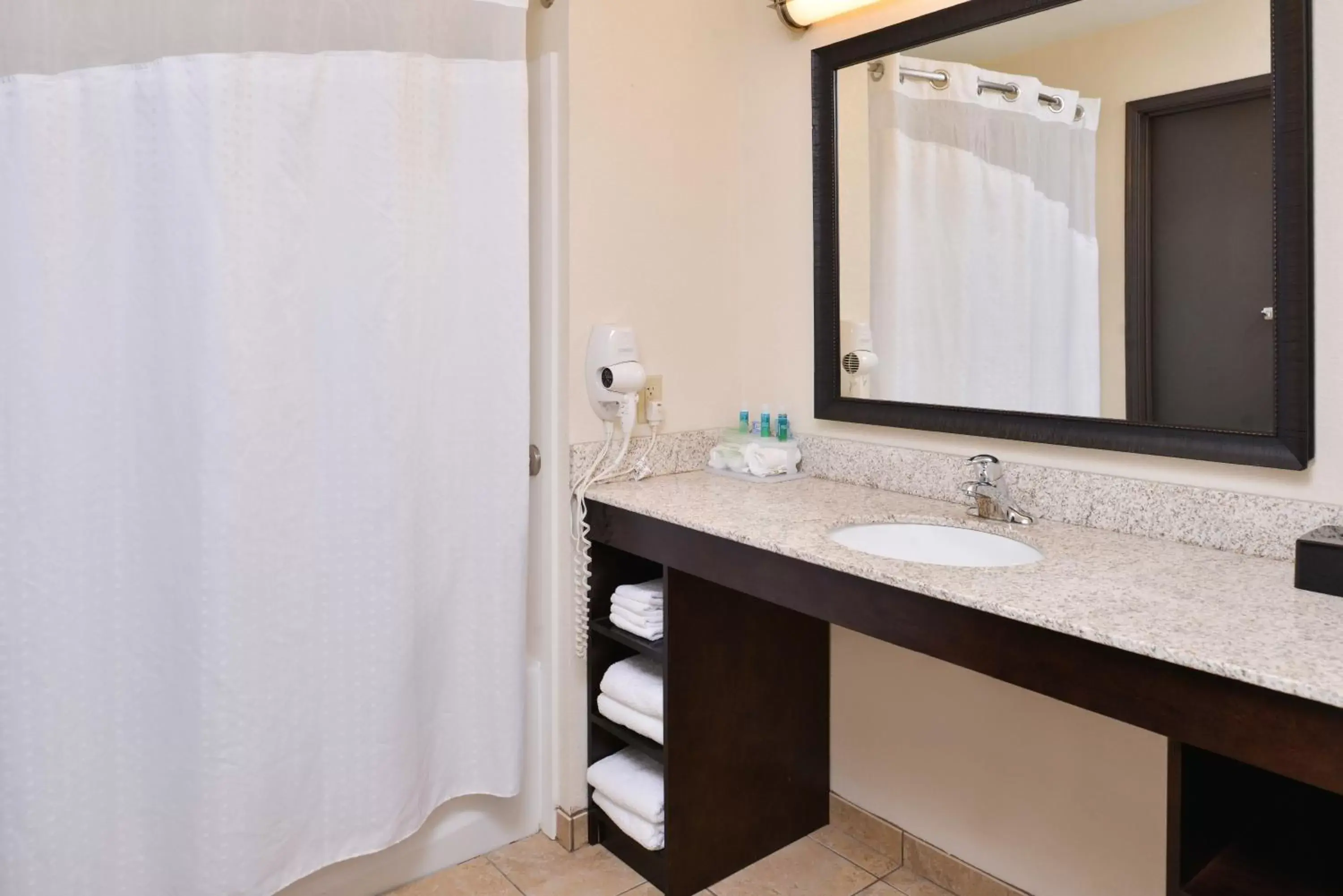 Bathroom in Holiday Inn Express & Suites Emporia Northwest, an IHG Hotel