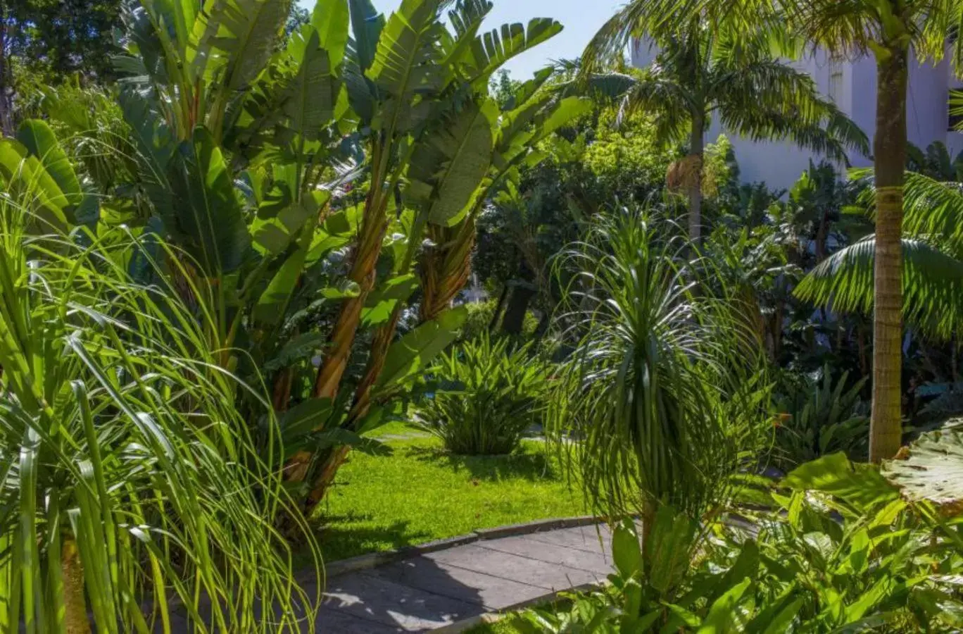 Garden in Buganvilia Studio Hotel