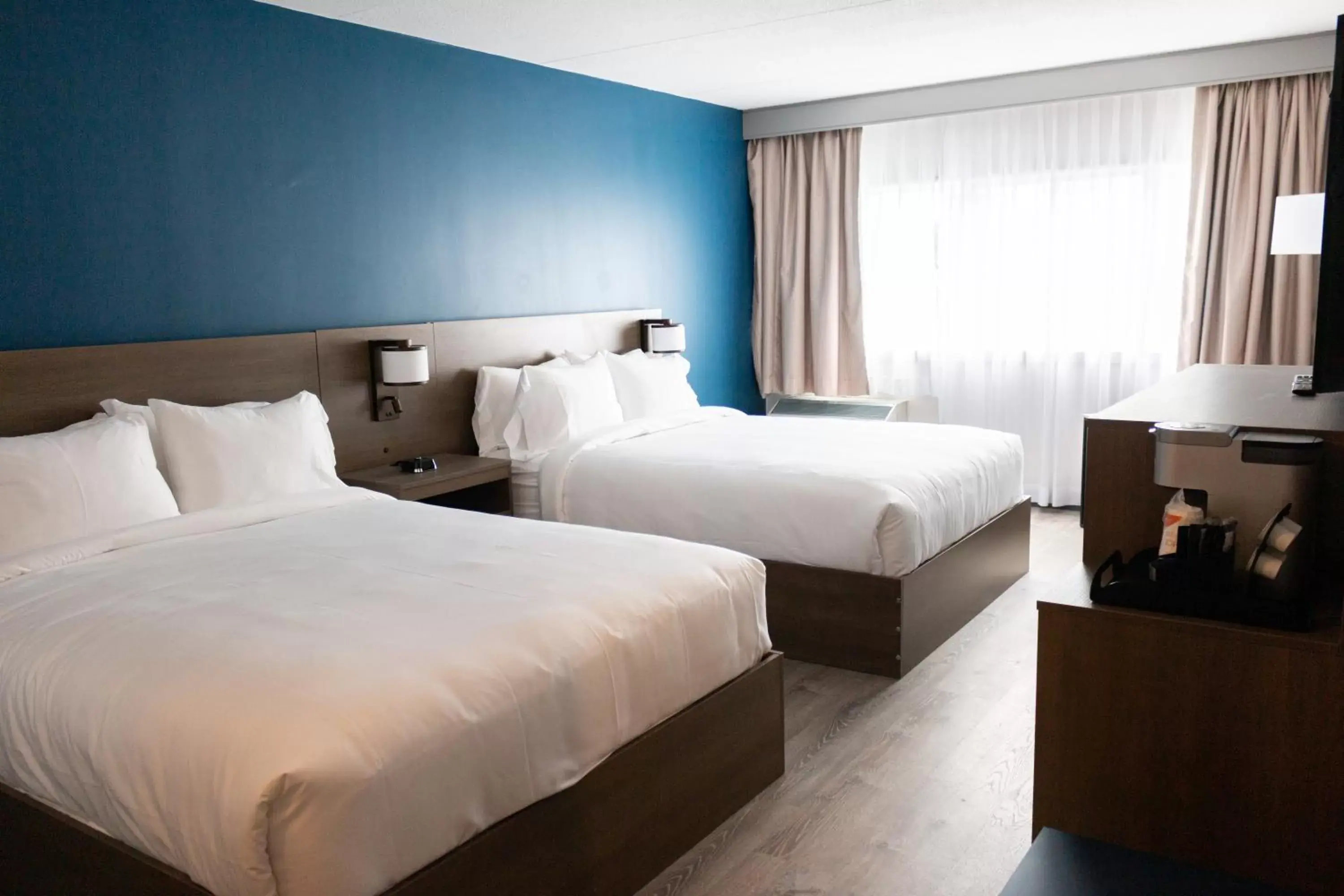 Bedroom, Bed in Comfort Suites Kingston Central