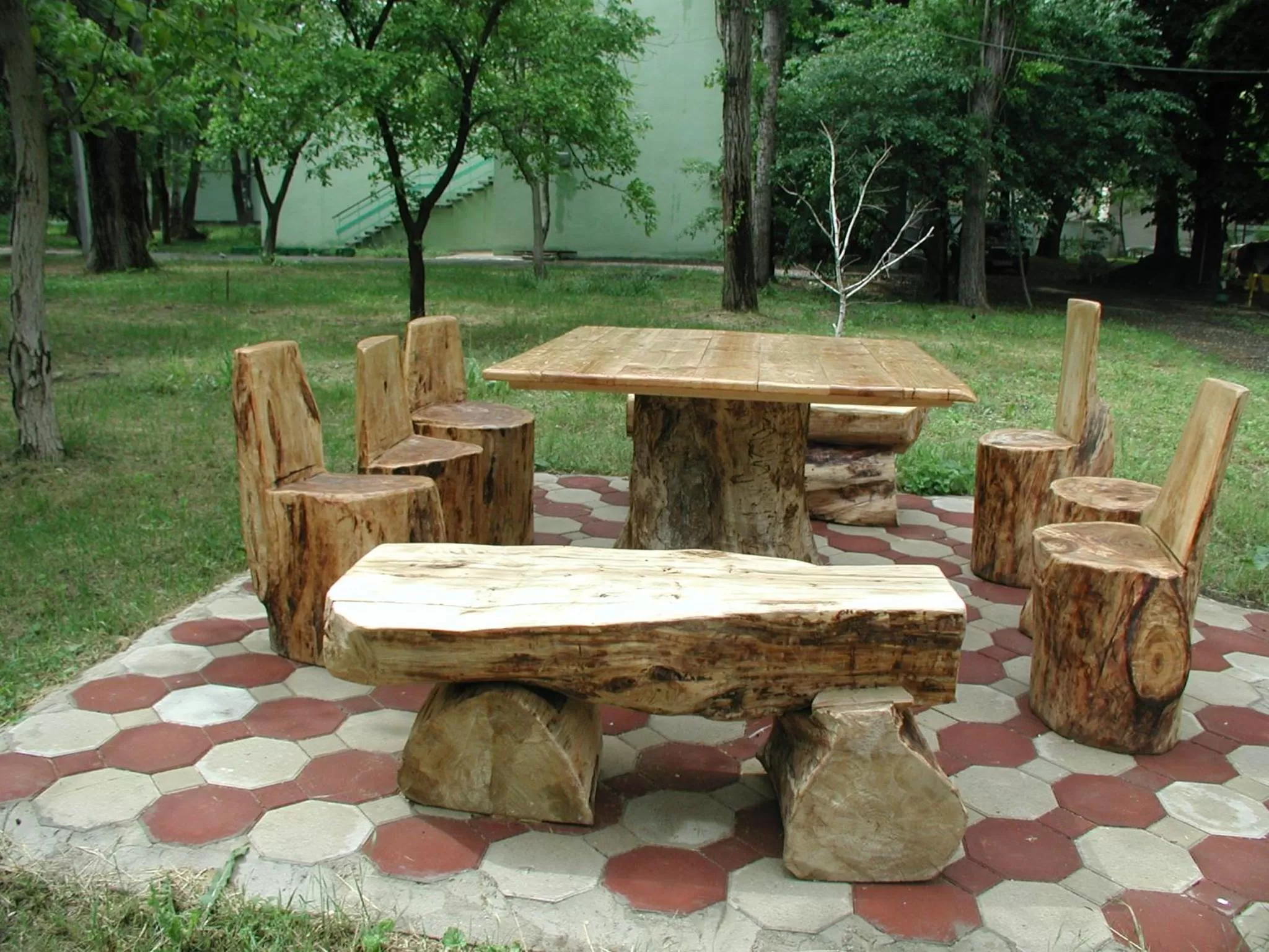 Activities in Zelenyi Kampus