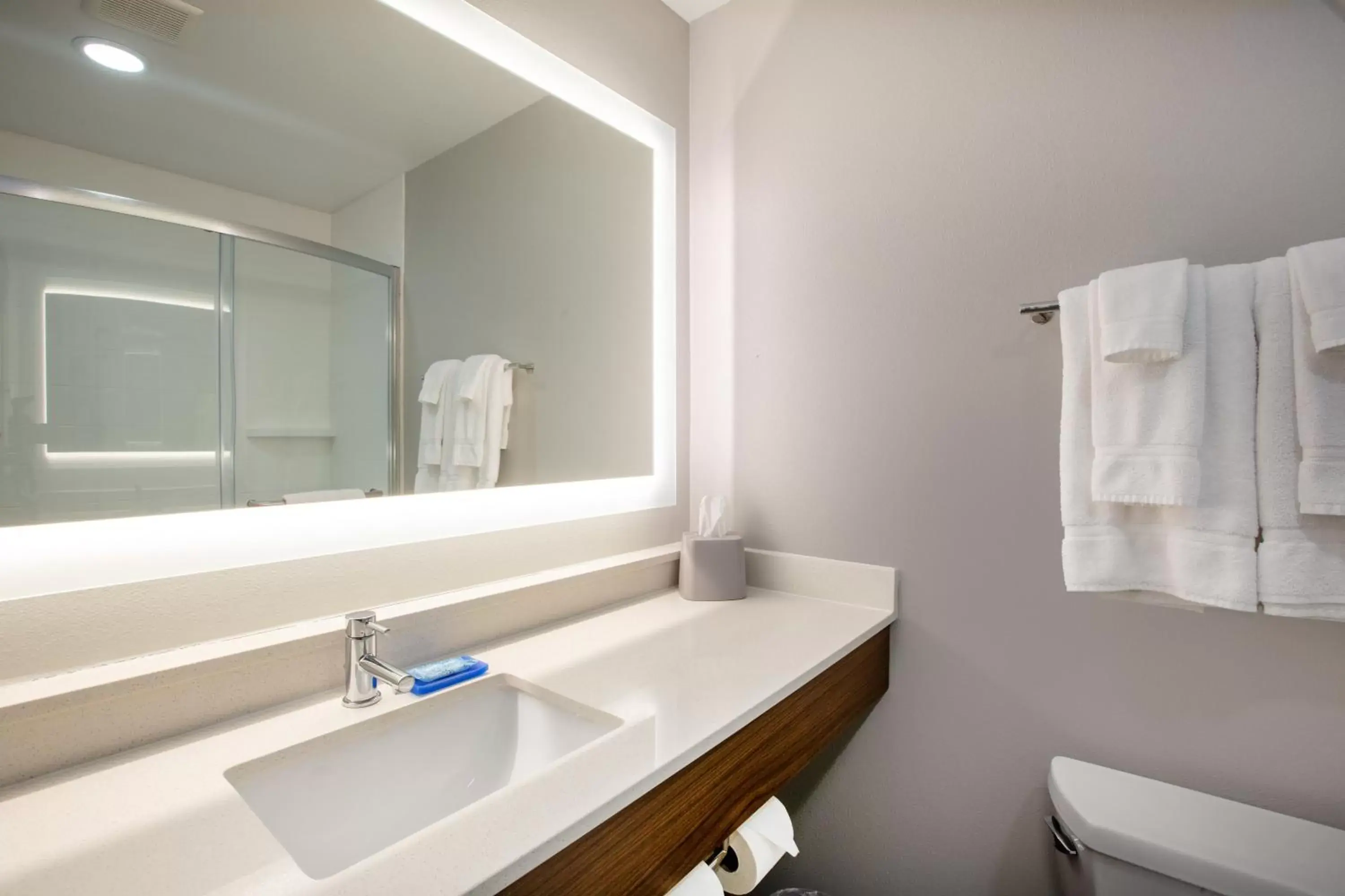 Bathroom in Holiday Inn Express Hotel & Suites Columbus, an IHG Hotel
