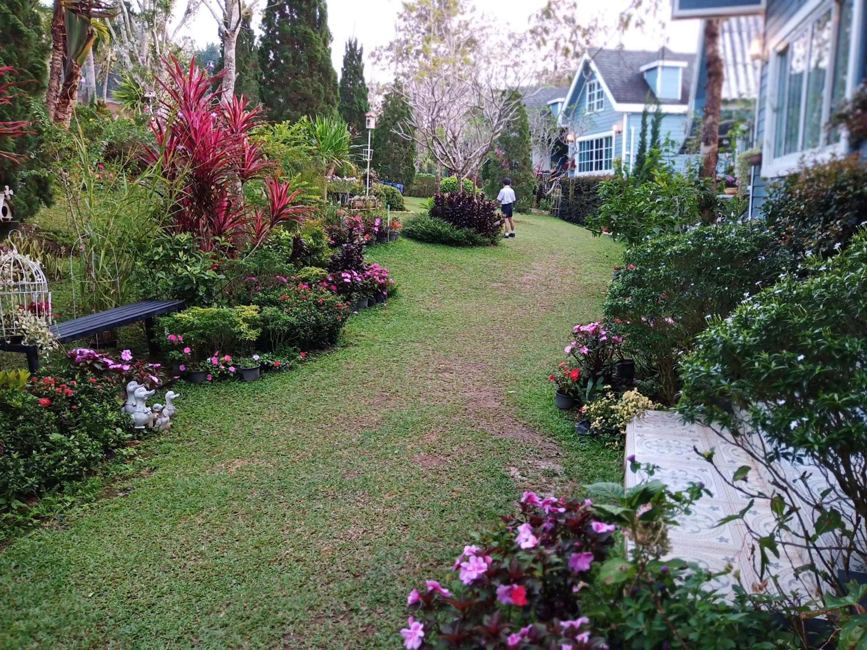 Baan JaoKorKluay บ้านเจ้ากอกล้วย