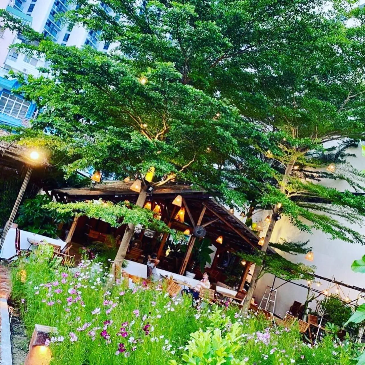 Restaurant/places to eat in Seasing Boutique Hotel