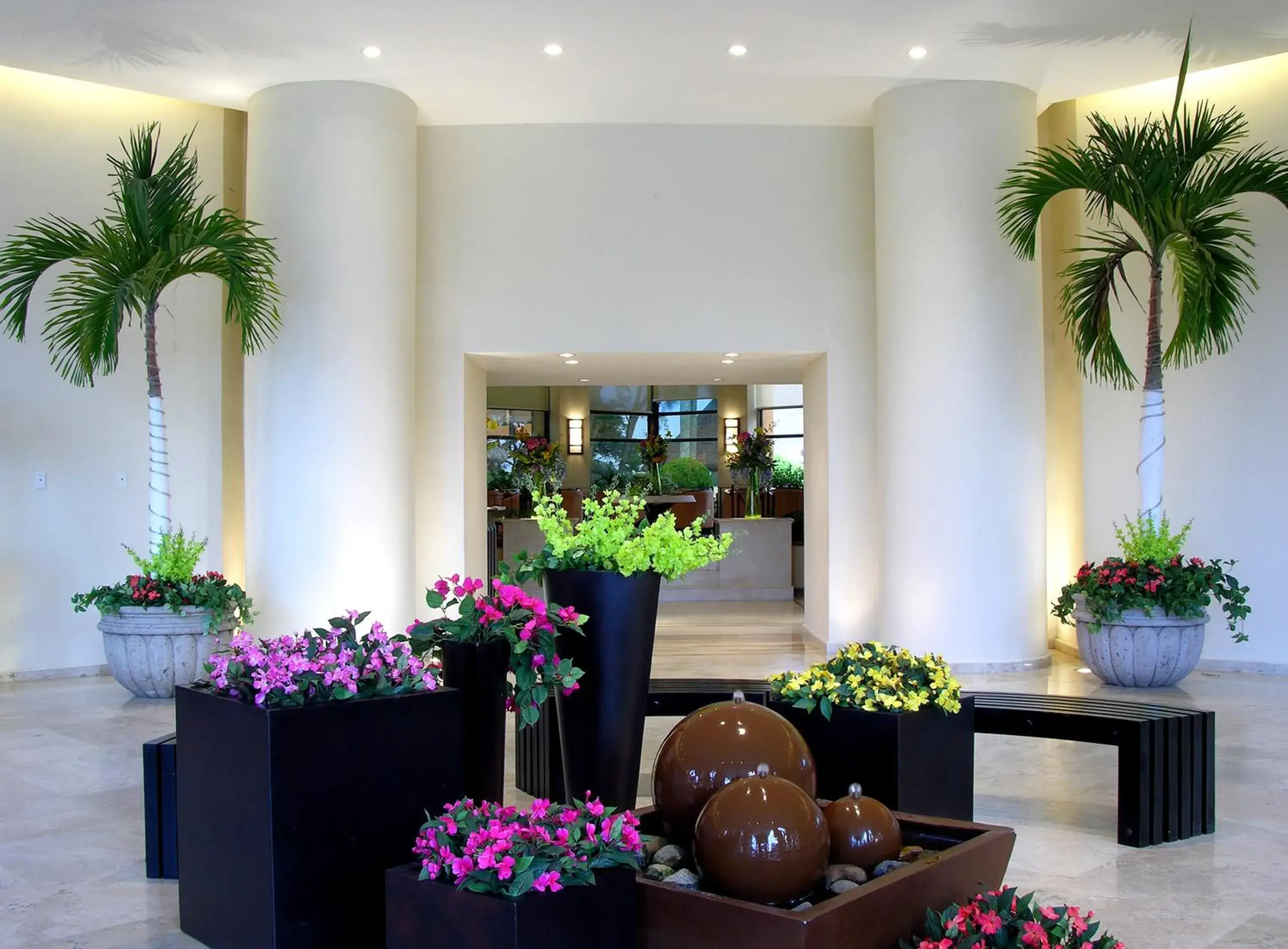 Lobby or reception in Hotel Terranova