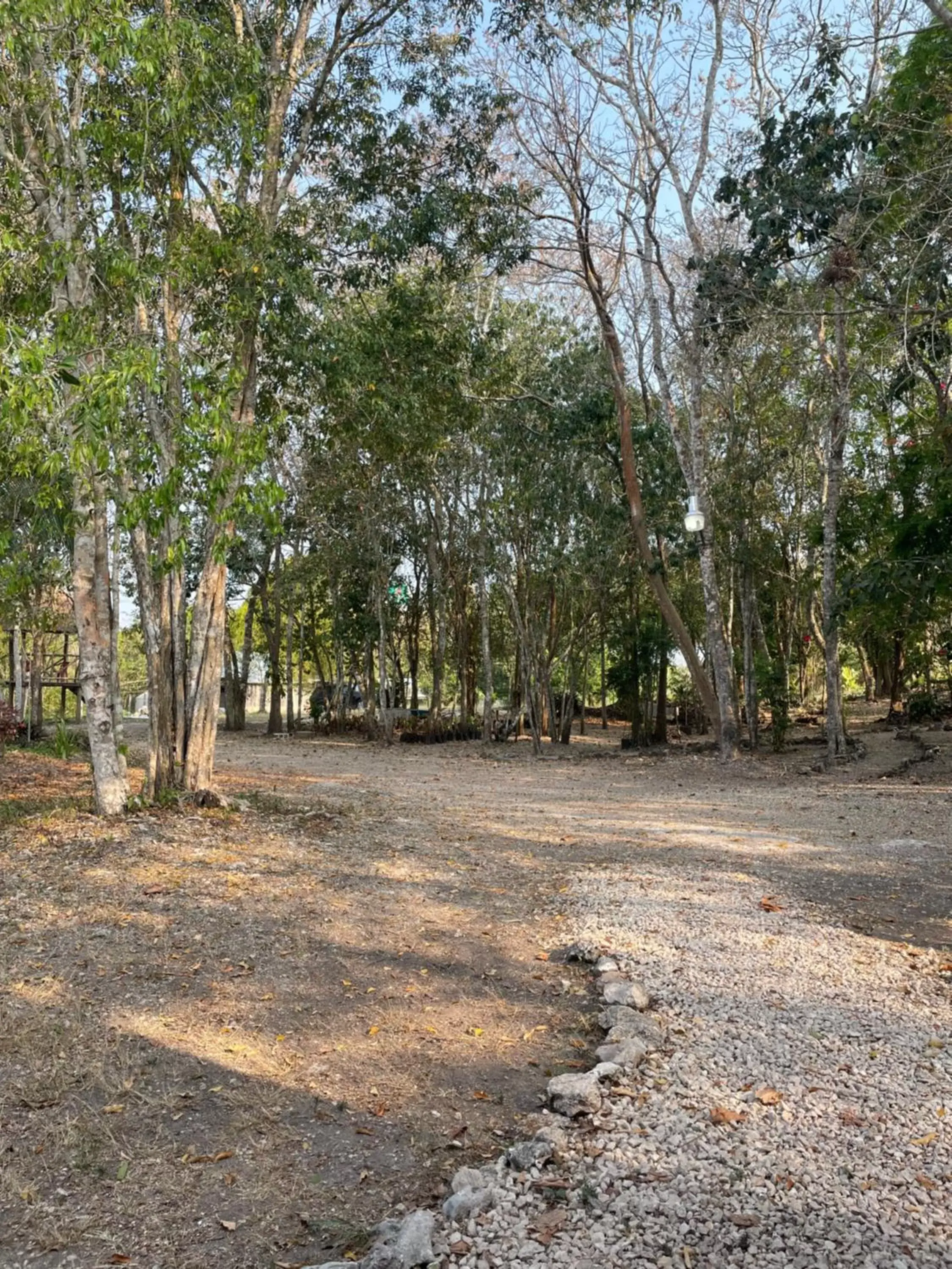 Garden in Ecohabitat