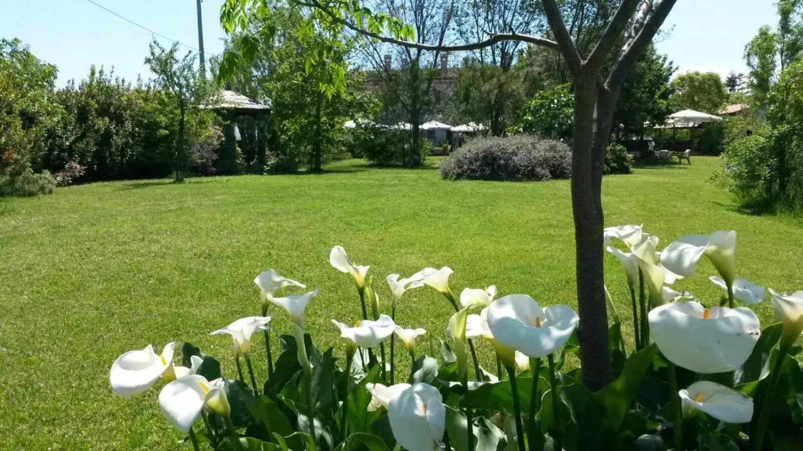 Banquet Facilities in Antico Casale Cesenatico B&B