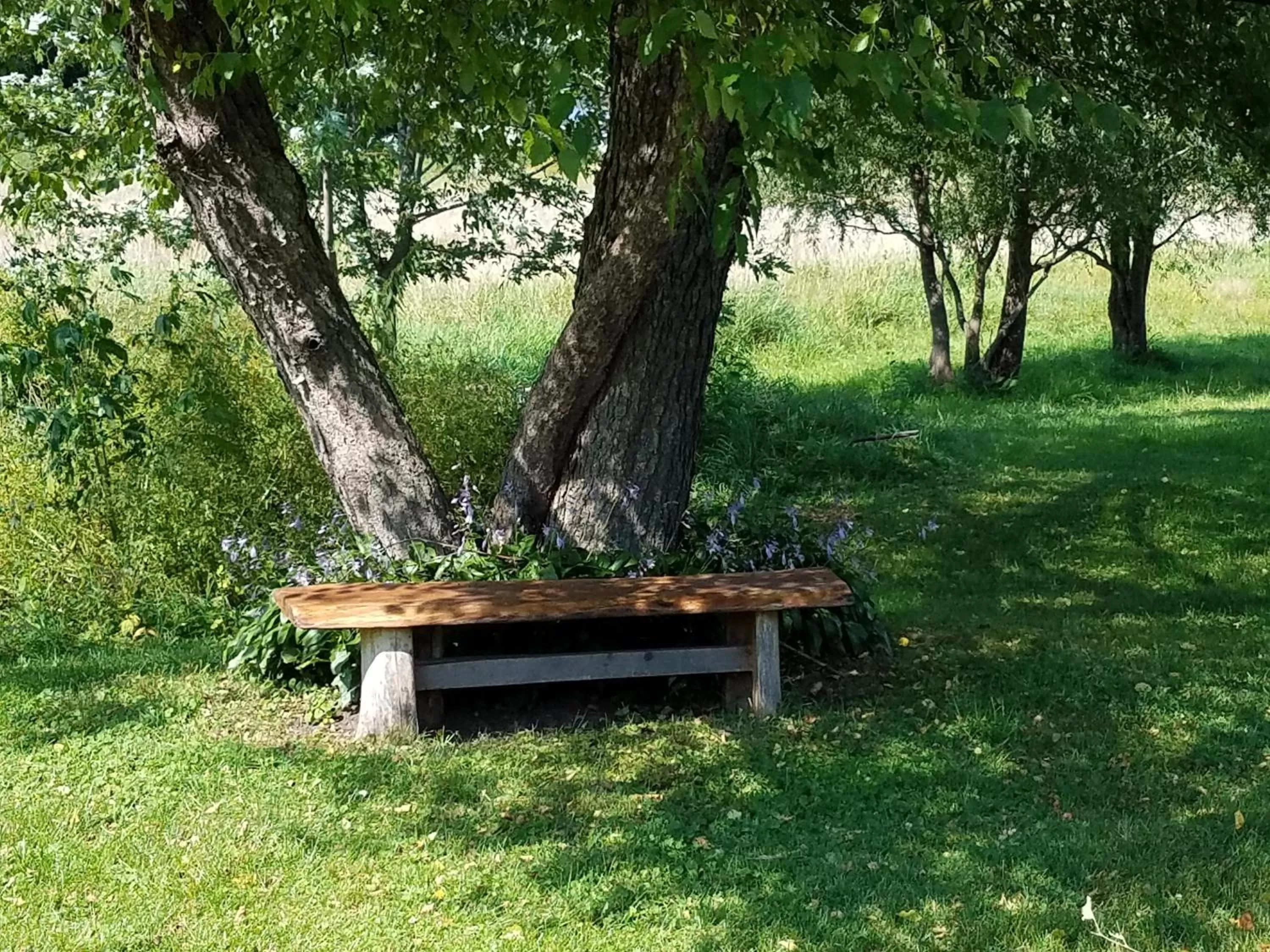 Natural landscape, Garden in Rainbow Ridge Farms