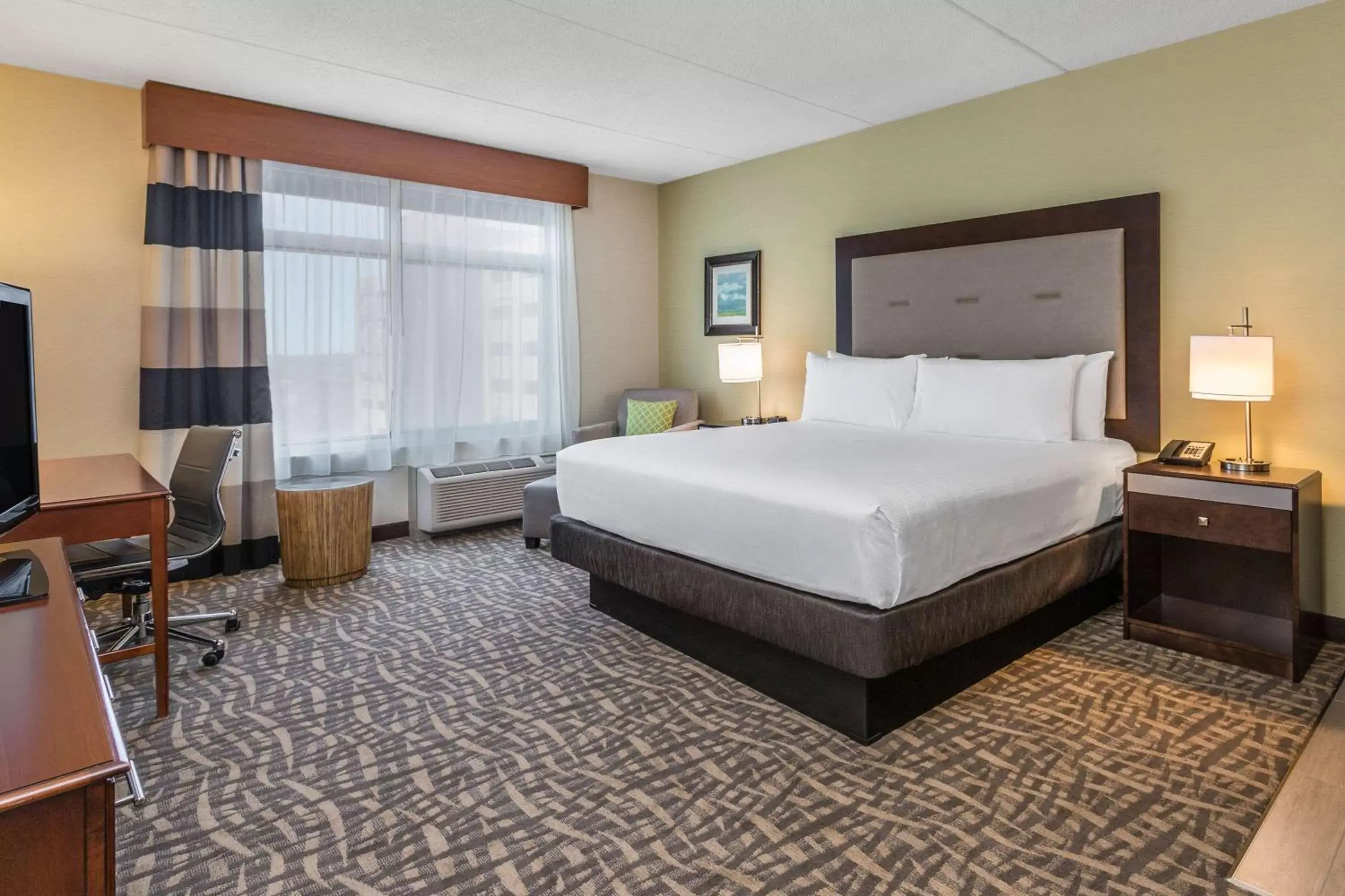 Photo of the whole room, Bed in Wyndham Garden Buffalo Downtown