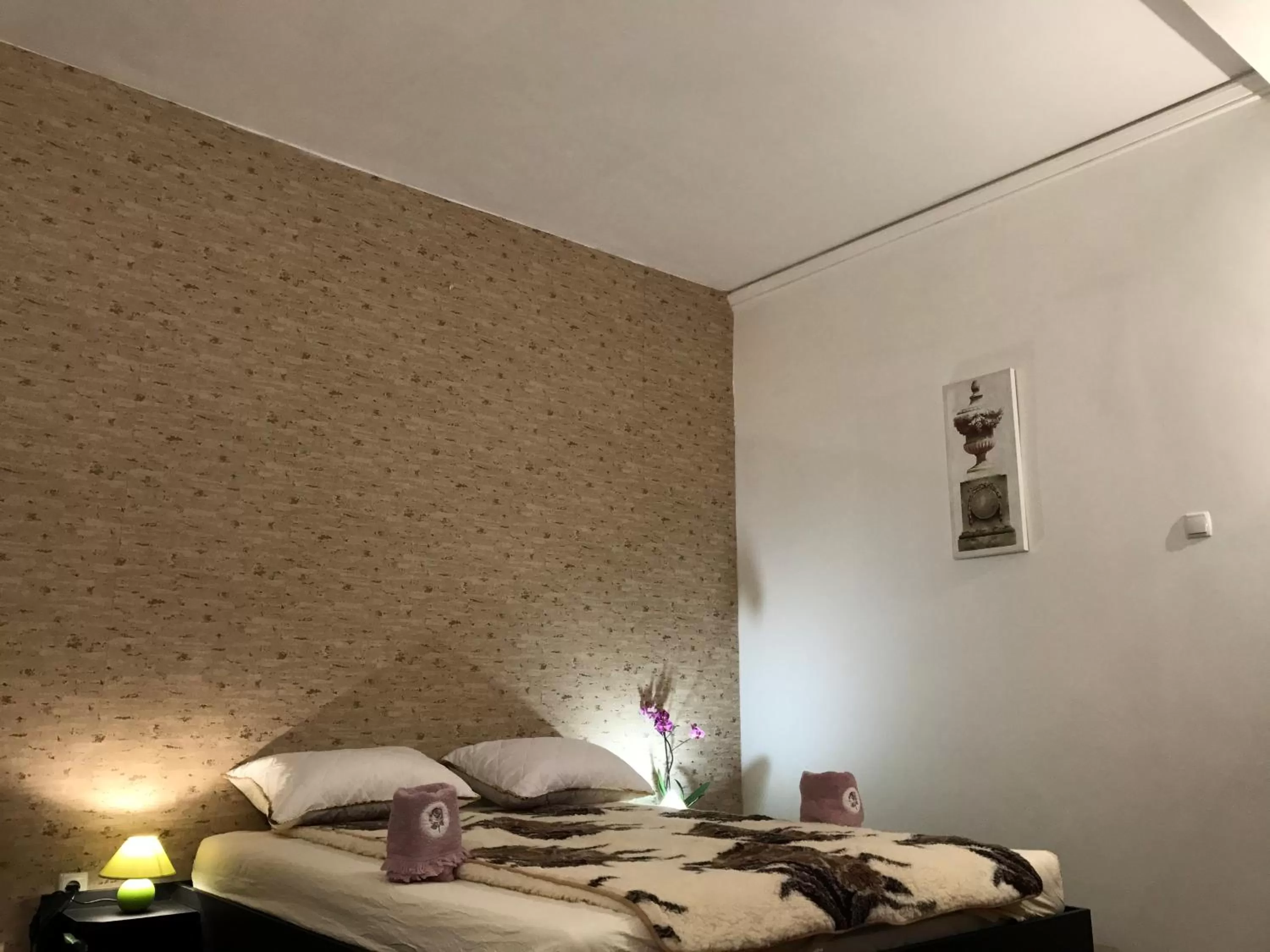 Photo of the whole room in Belle Stelle Sofia