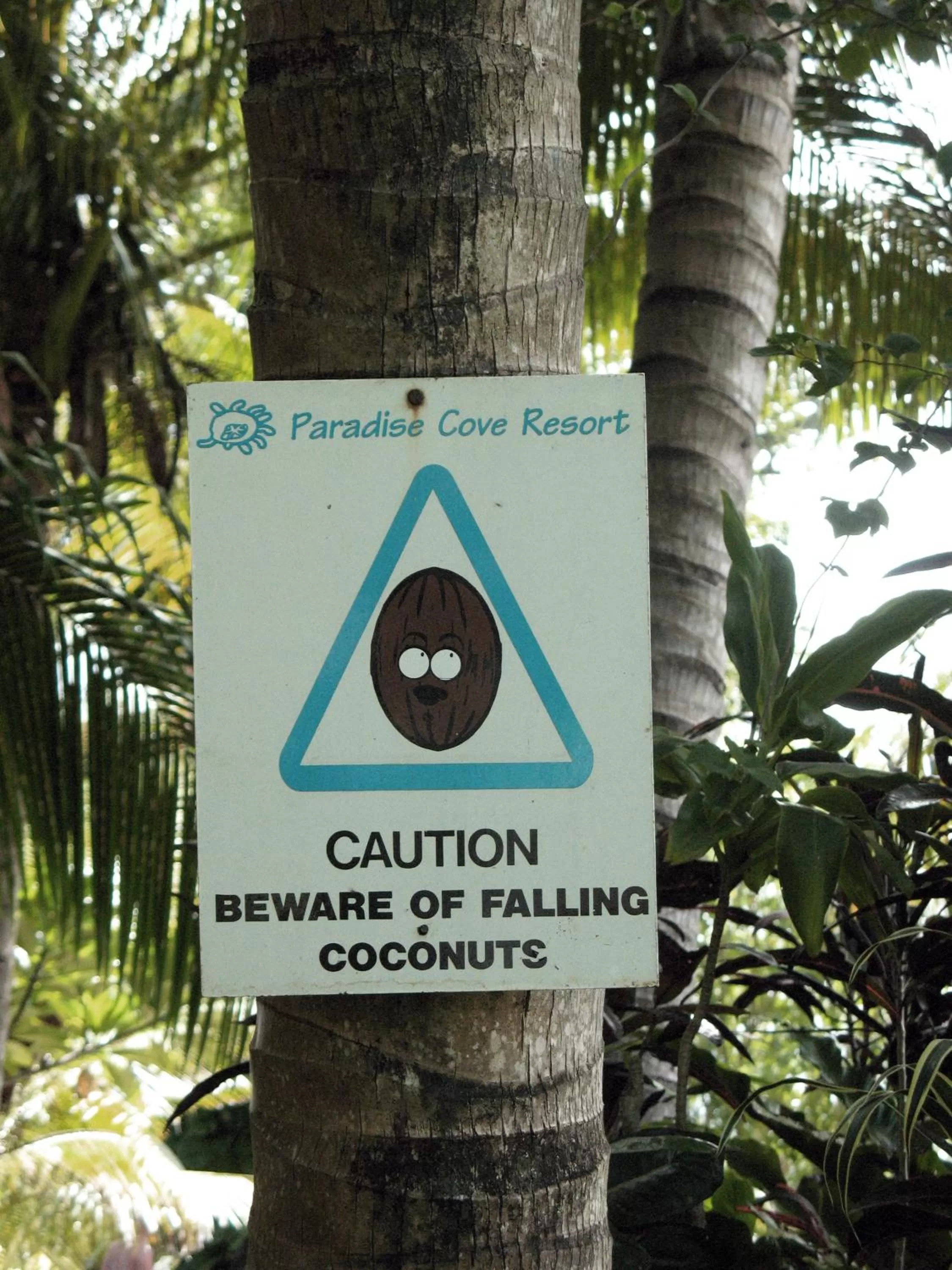 Garden in Paradise Cove Resort