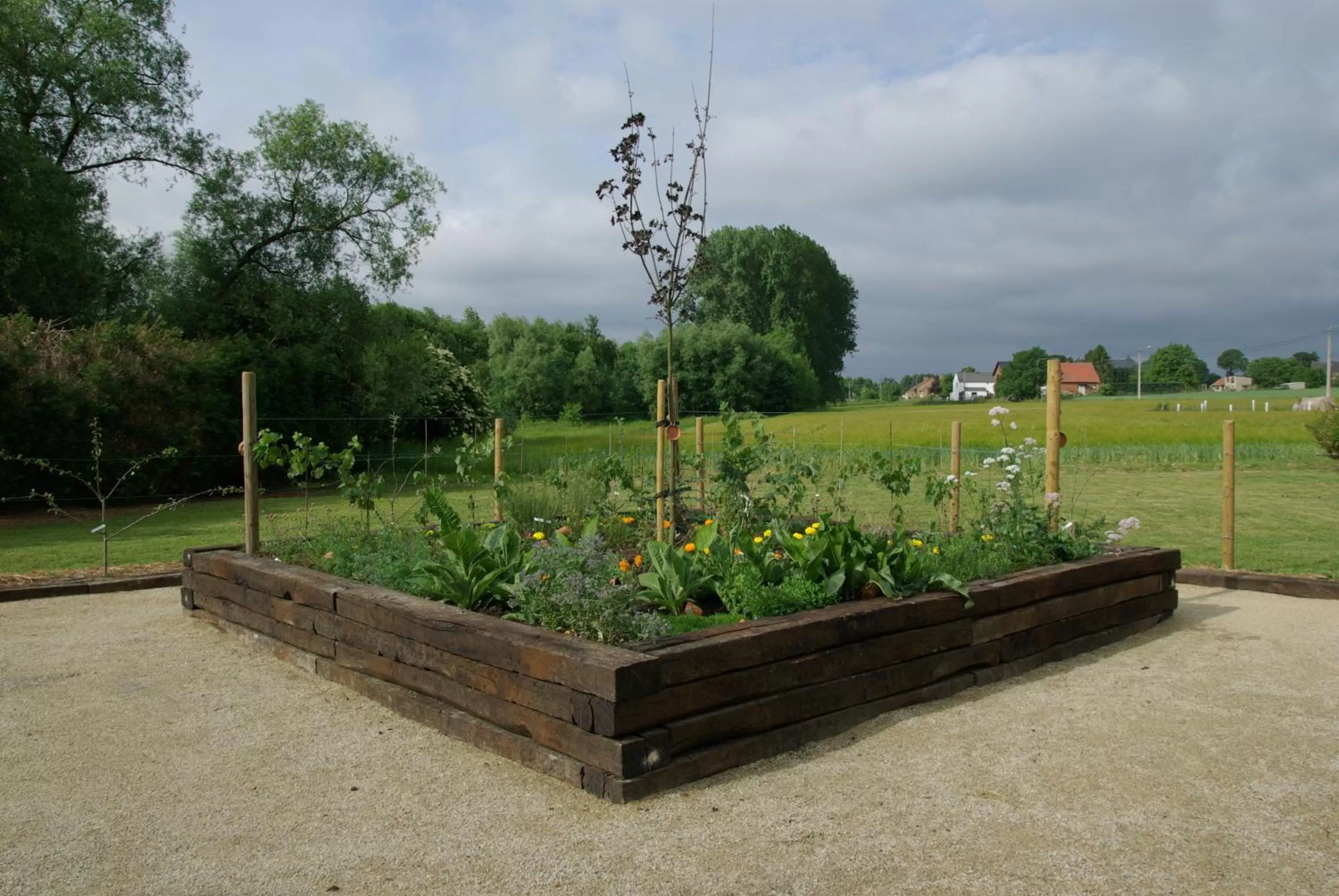 Garden in Le Relais De La Haute Sambre