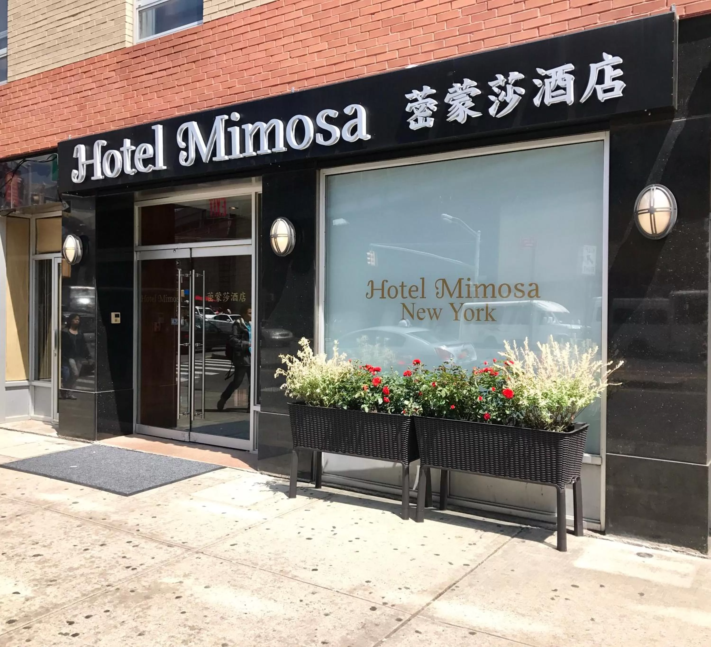 Facade/entrance in Hotel Mimosa