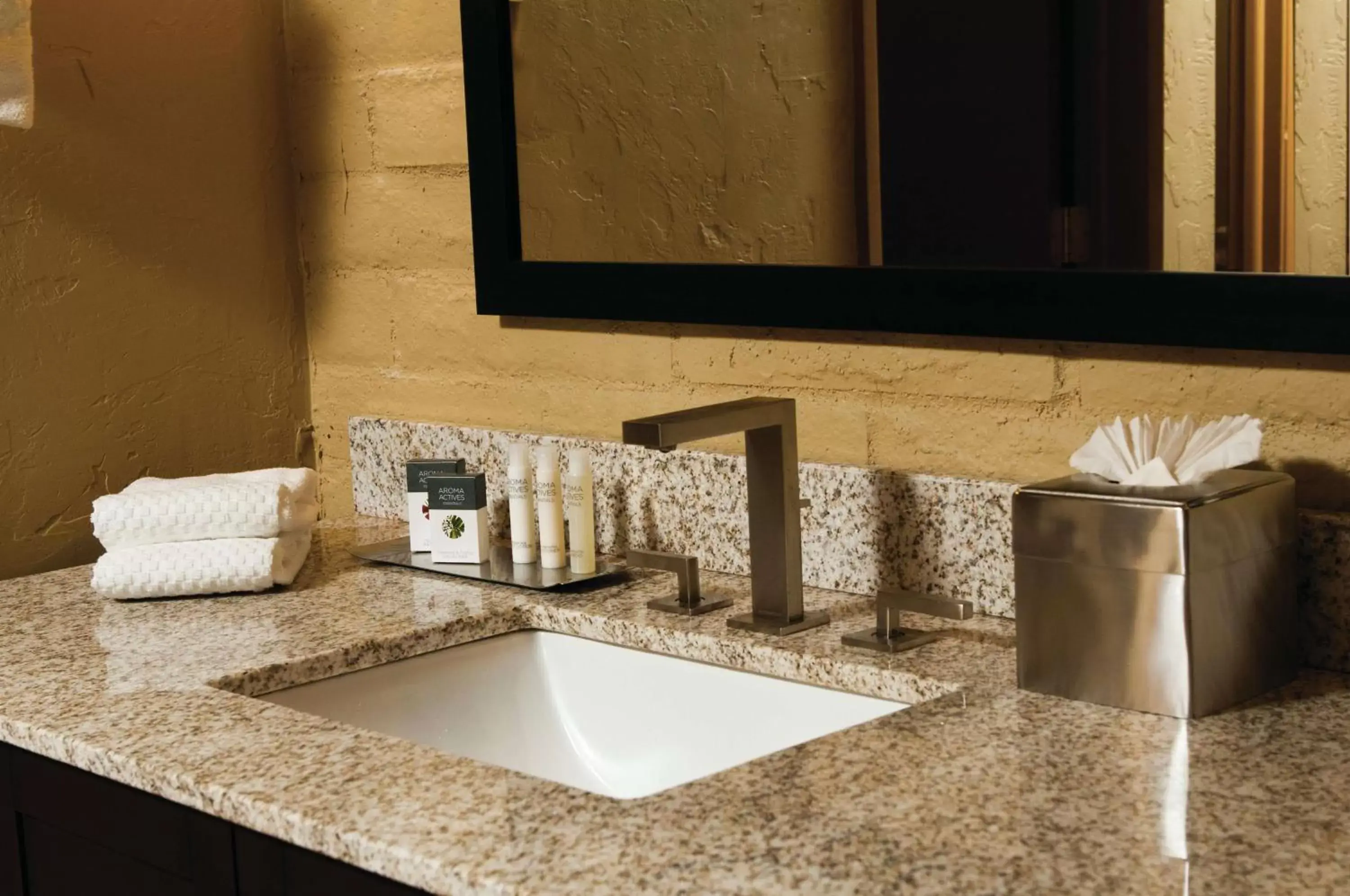 Bathroom in DoubleTree Suites by Hilton Tucson-Williams Center