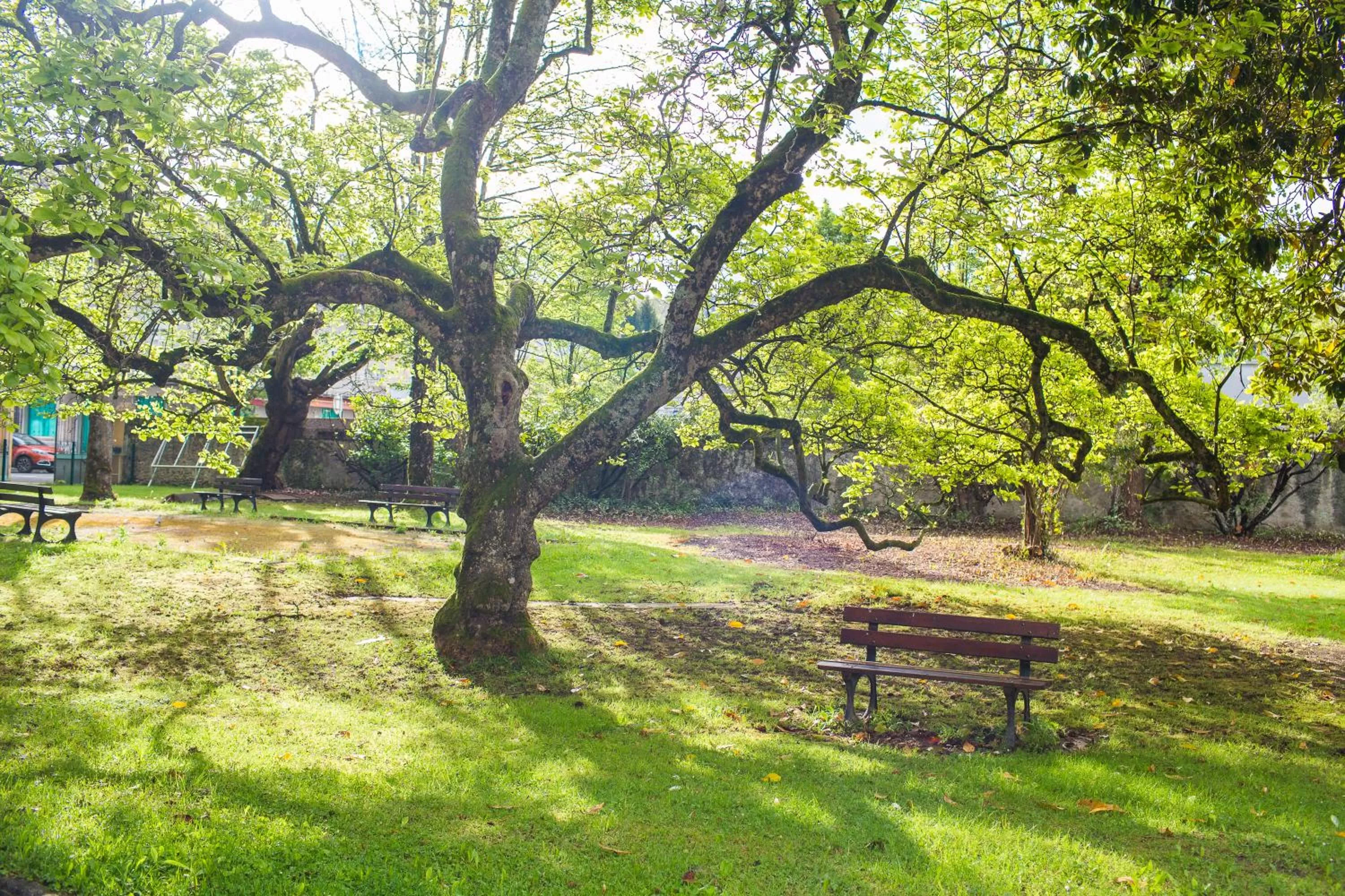 Garden in VILLA BONVOULOIR