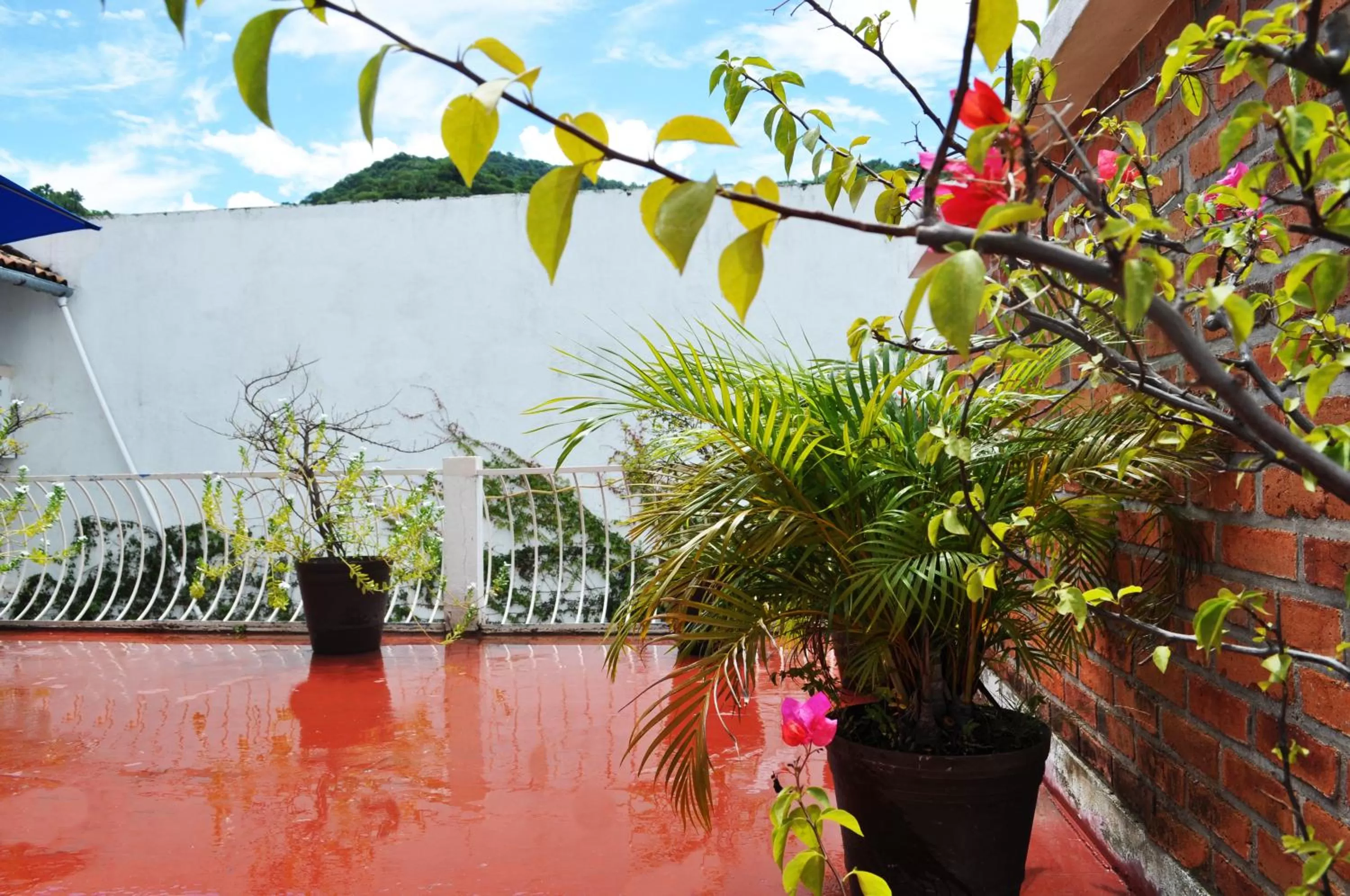 Balcony/Terrace in Hotel Hacienda de Vallarta Centro