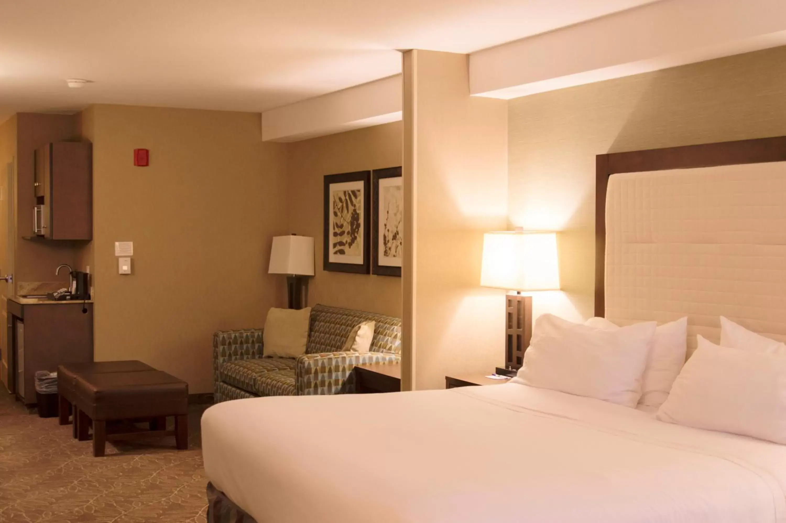 Photo of the whole room, Bed in Holiday Inn Express & Suites Logan, an IHG Hotel