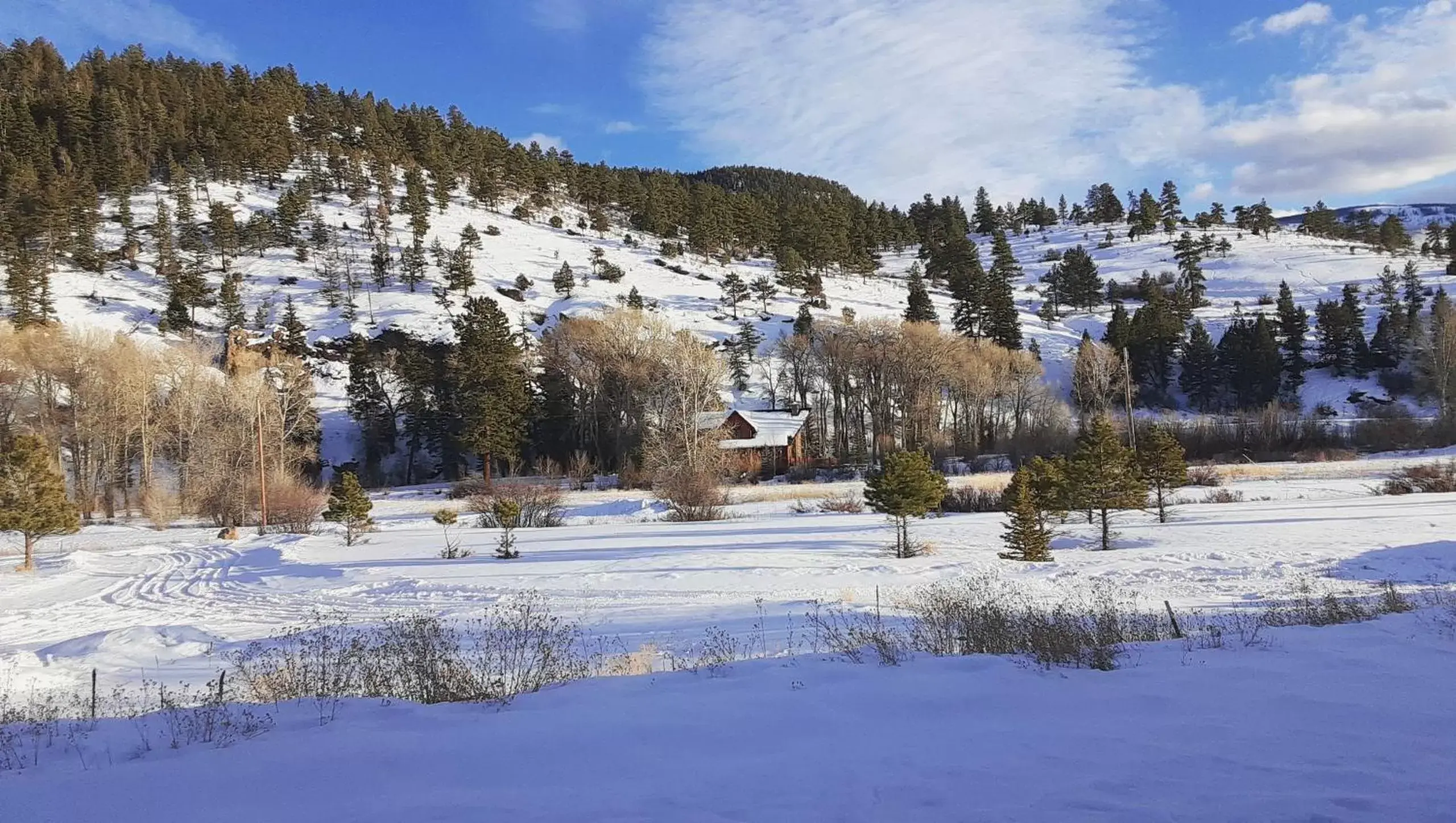 View (from property/room), Winter in Quality Inn & Suites