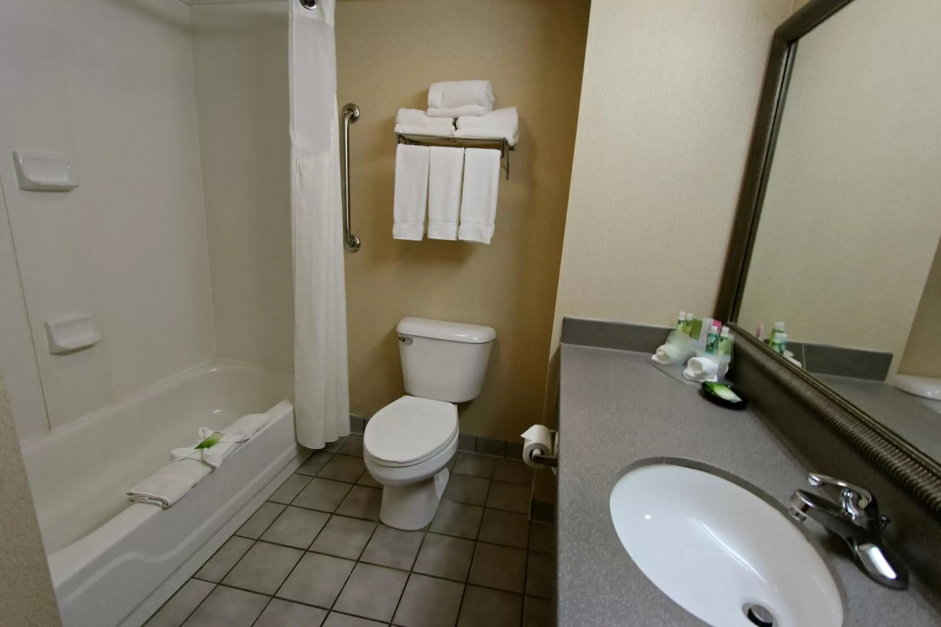 Bathroom in Baymont Inn & Suites by Wyndham Findlay