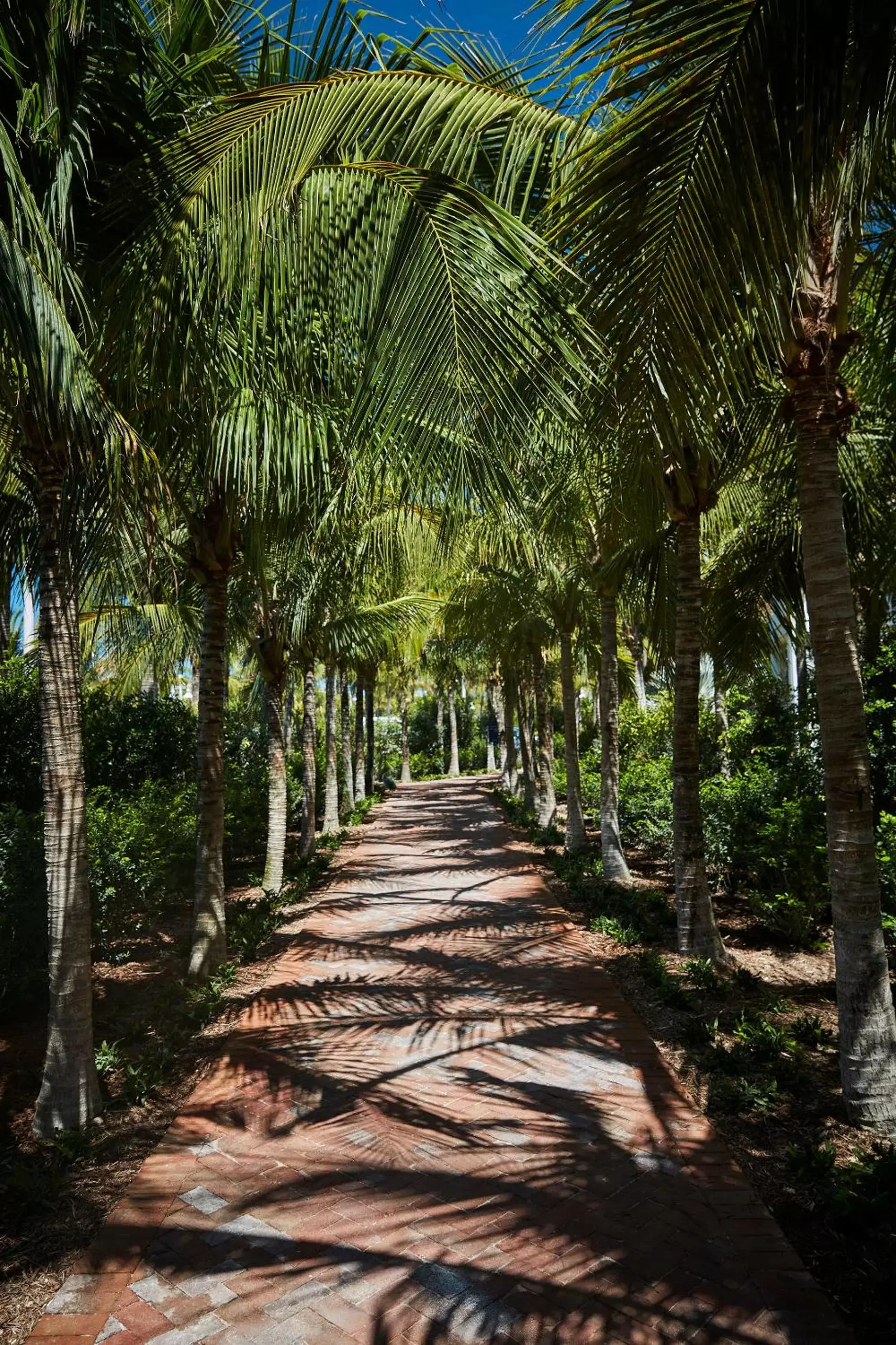 Natural landscape in Isla Bella Beach Resort & Spa - Florida Keys