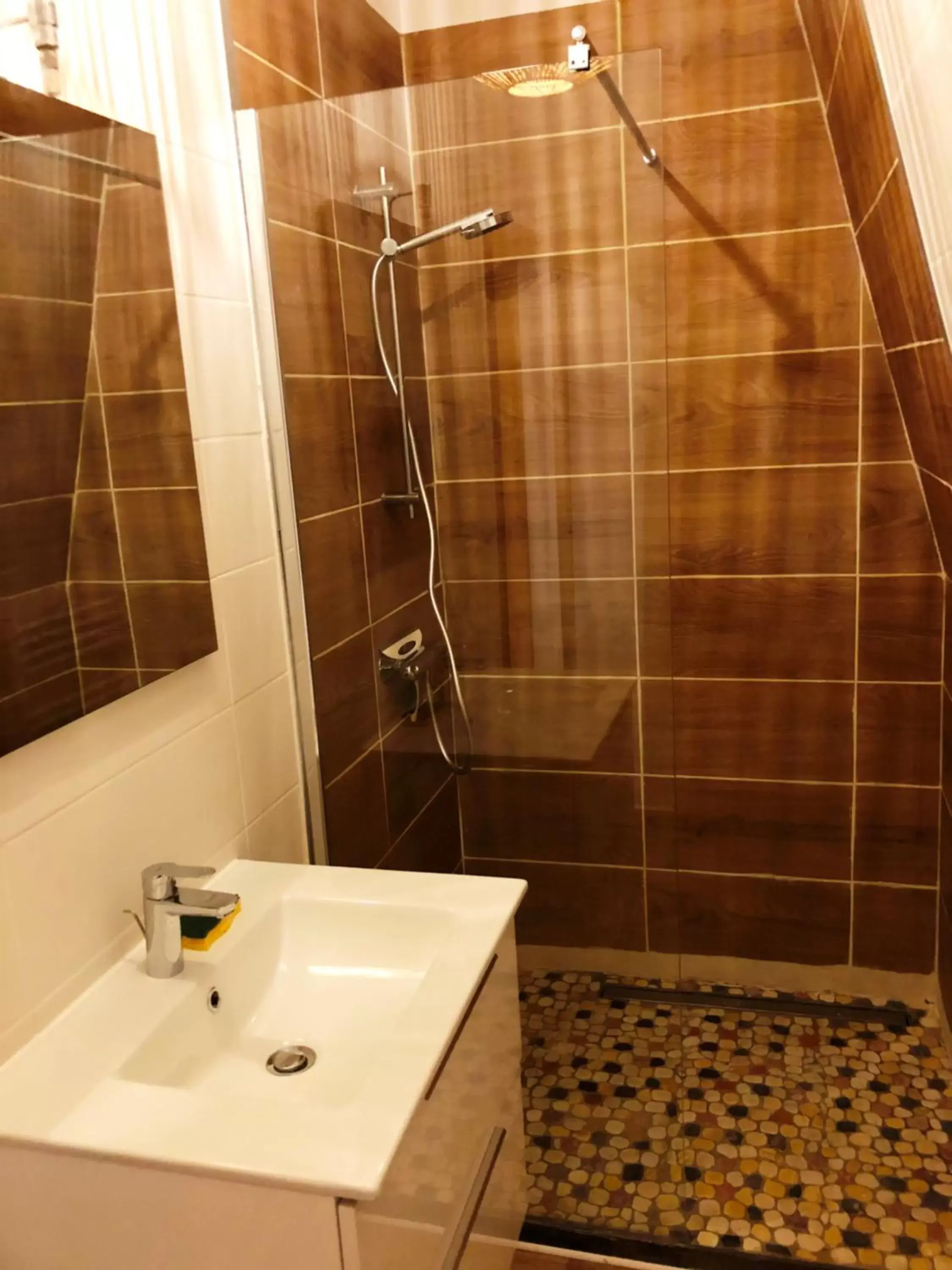 Shower, Bathroom in Chambres d'Hôte Dijon Clair de Lune