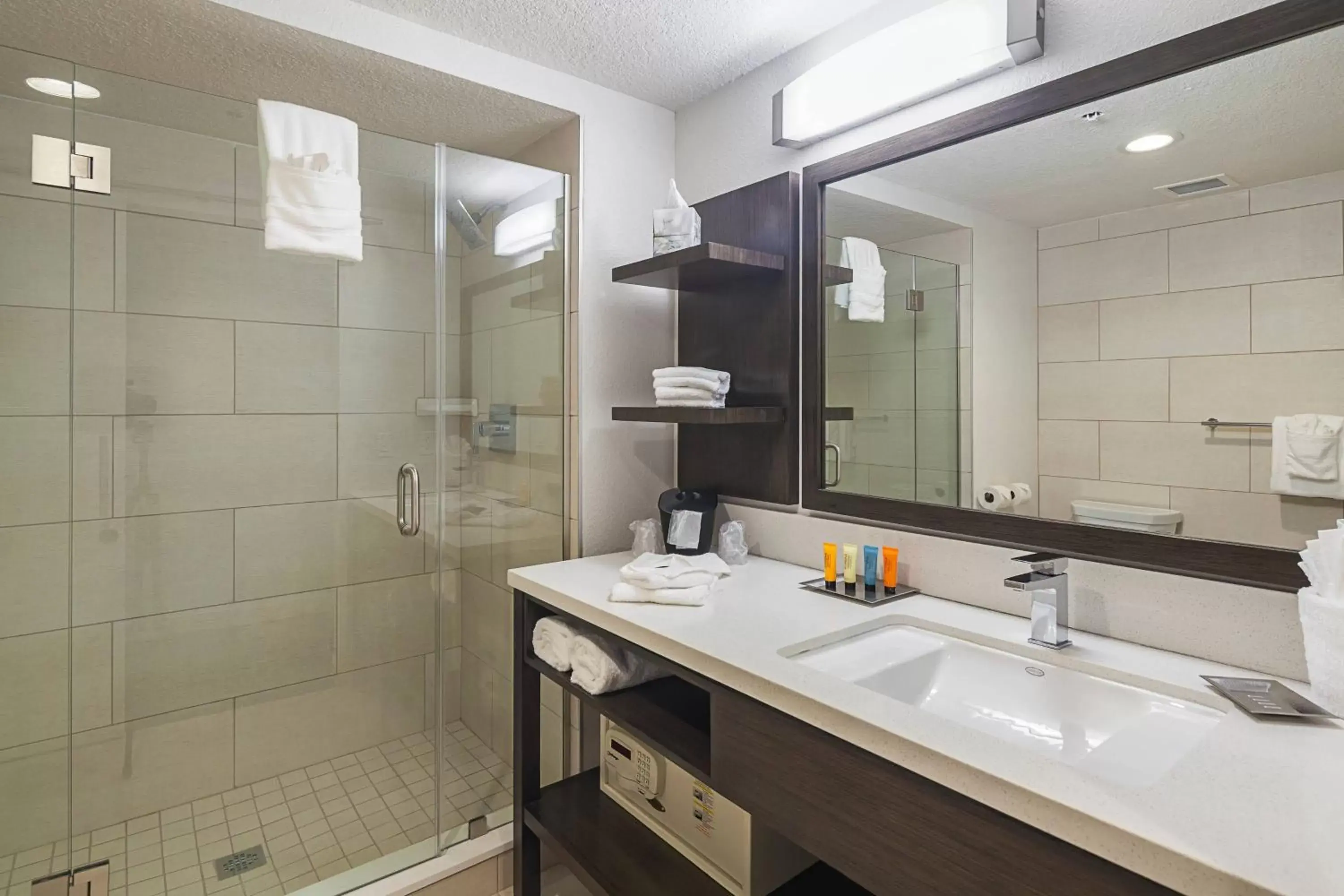 Bathroom in Southbank Hotel by Marriott Jacksonville Riverwalk