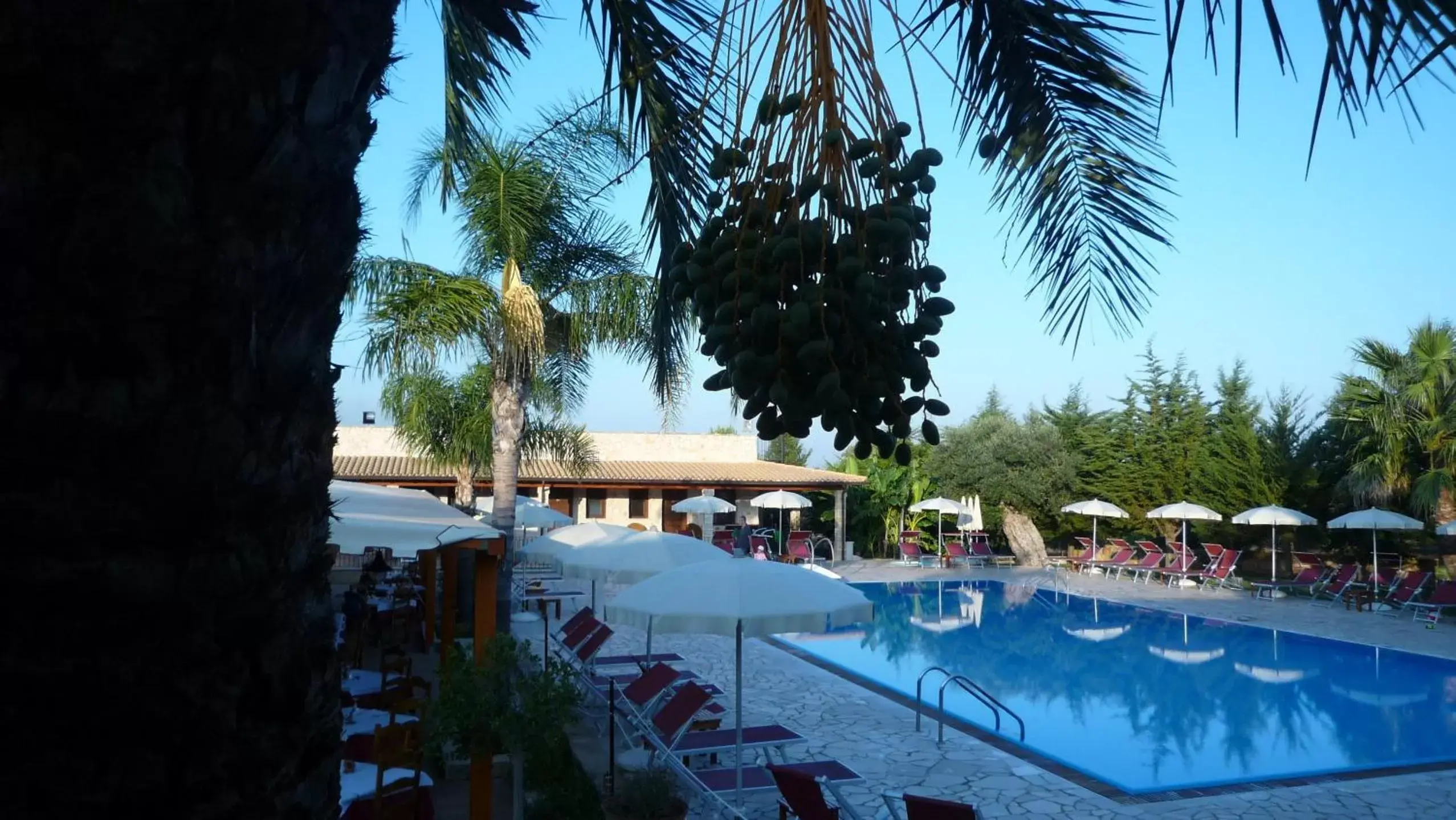 Lounge or bar, Swimming Pool in Hotel Masseria Le Pajare