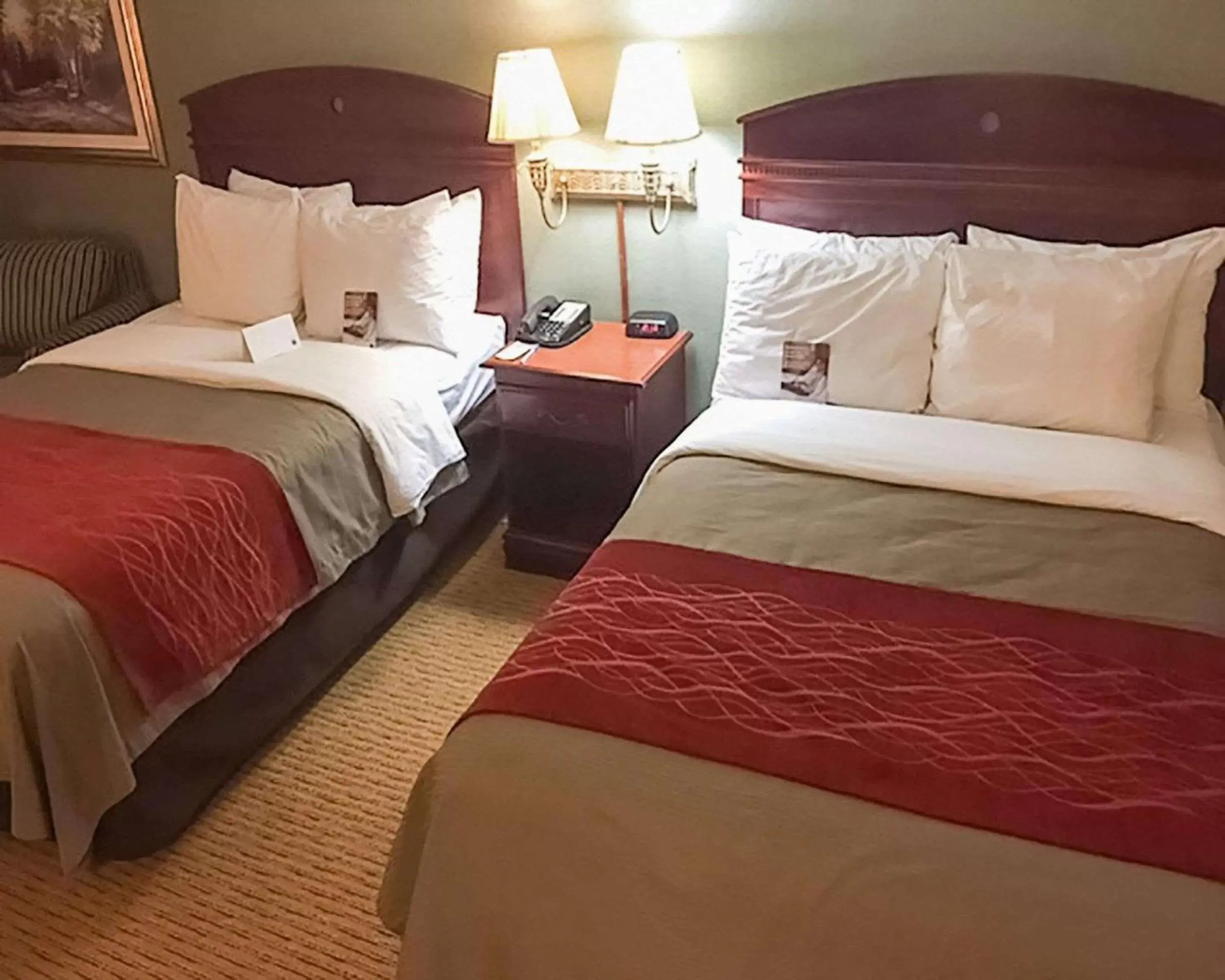 Photo of the whole room, Bed in Comfort Inn Springfield