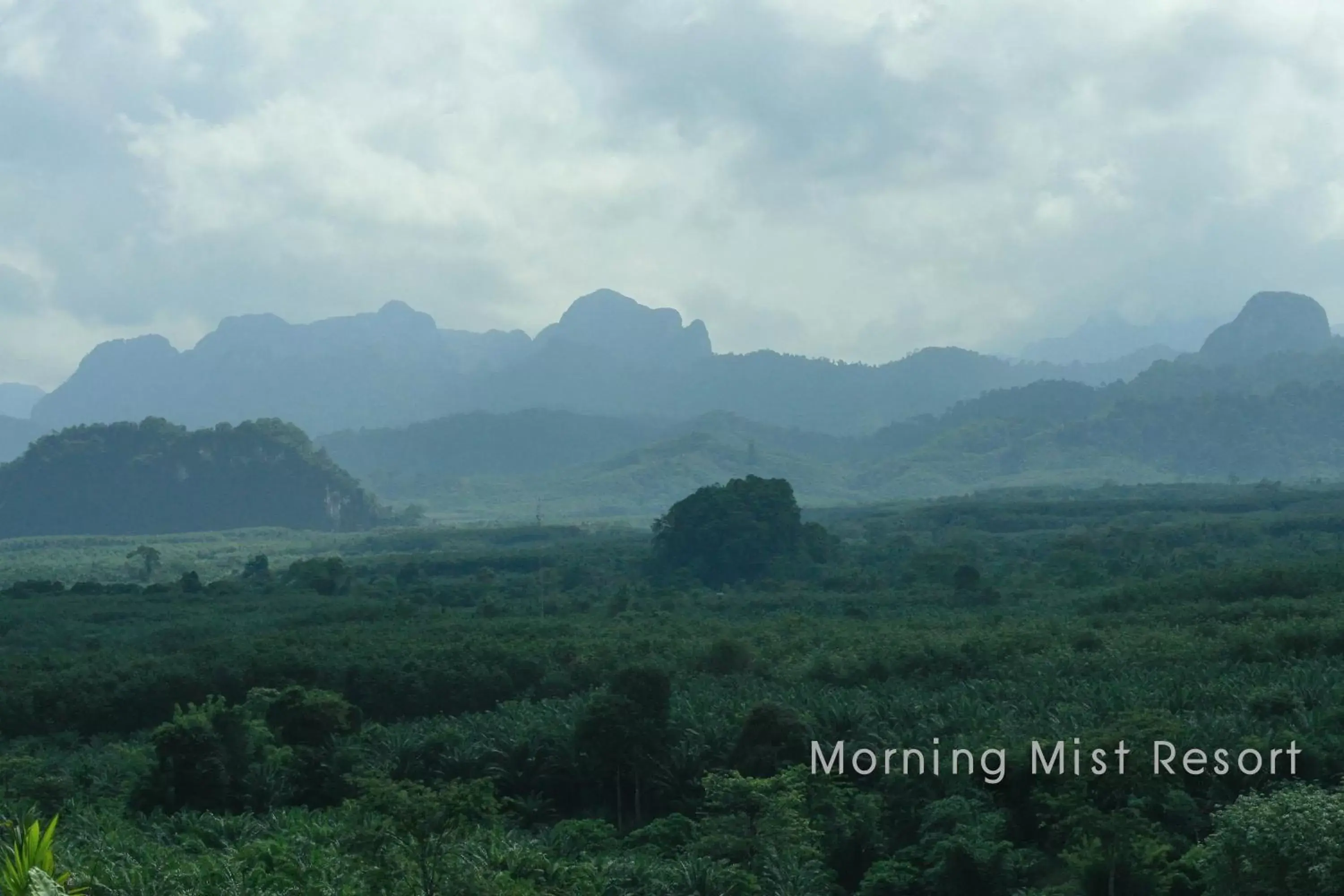 Nearby landmark, Mountain View in Khao Sok Morning Mist Resort