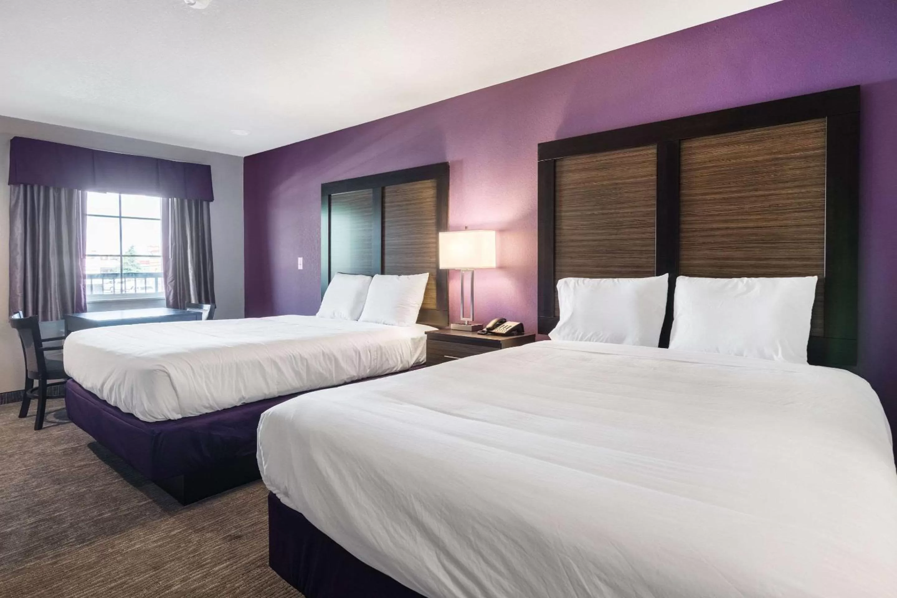 Photo of the whole room, Bed in Econo Lodge Inn & Suites North Little Rock near Riverfront