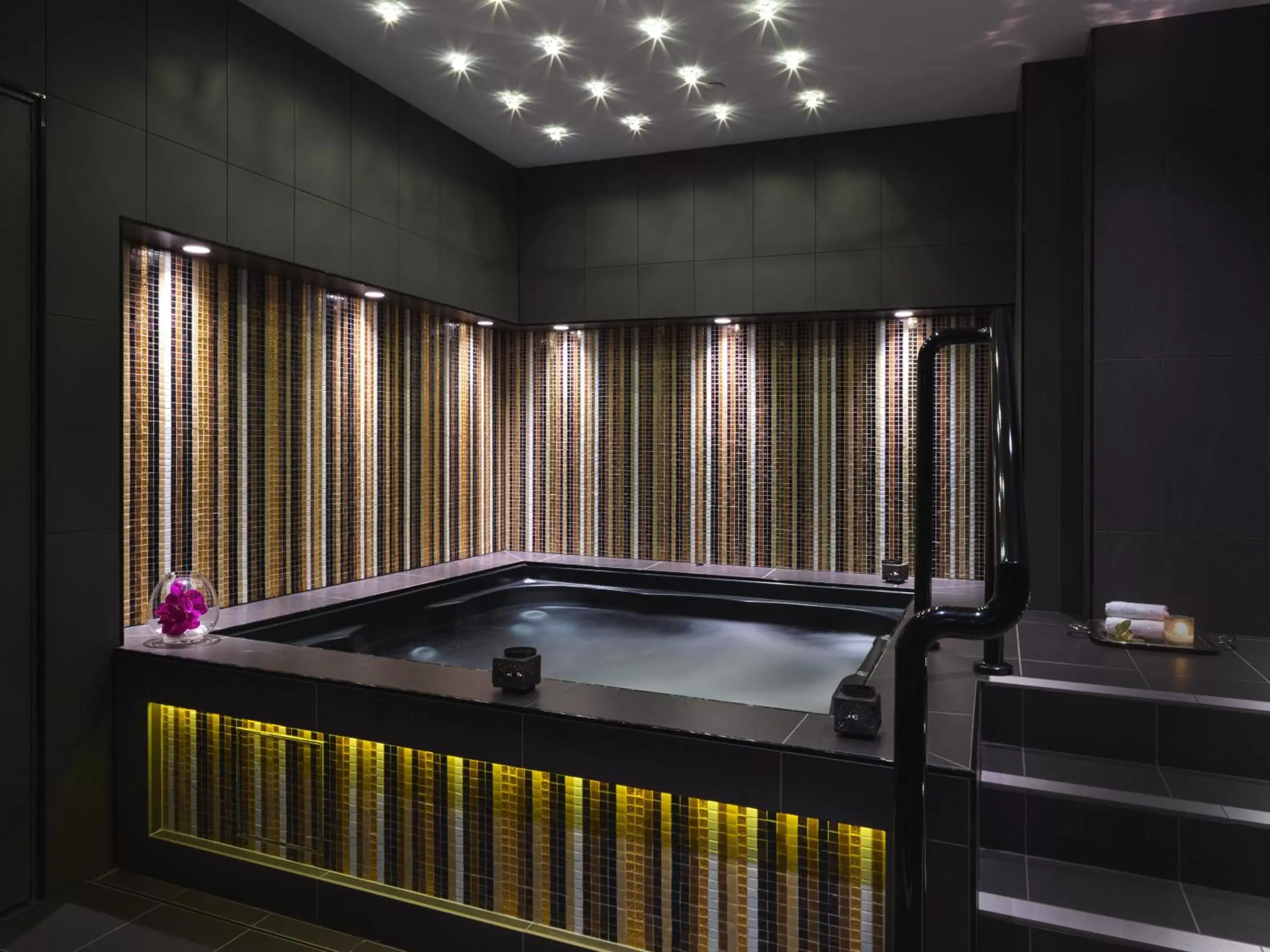 Hot Tub, Spa/Wellness in The Darling at The Star