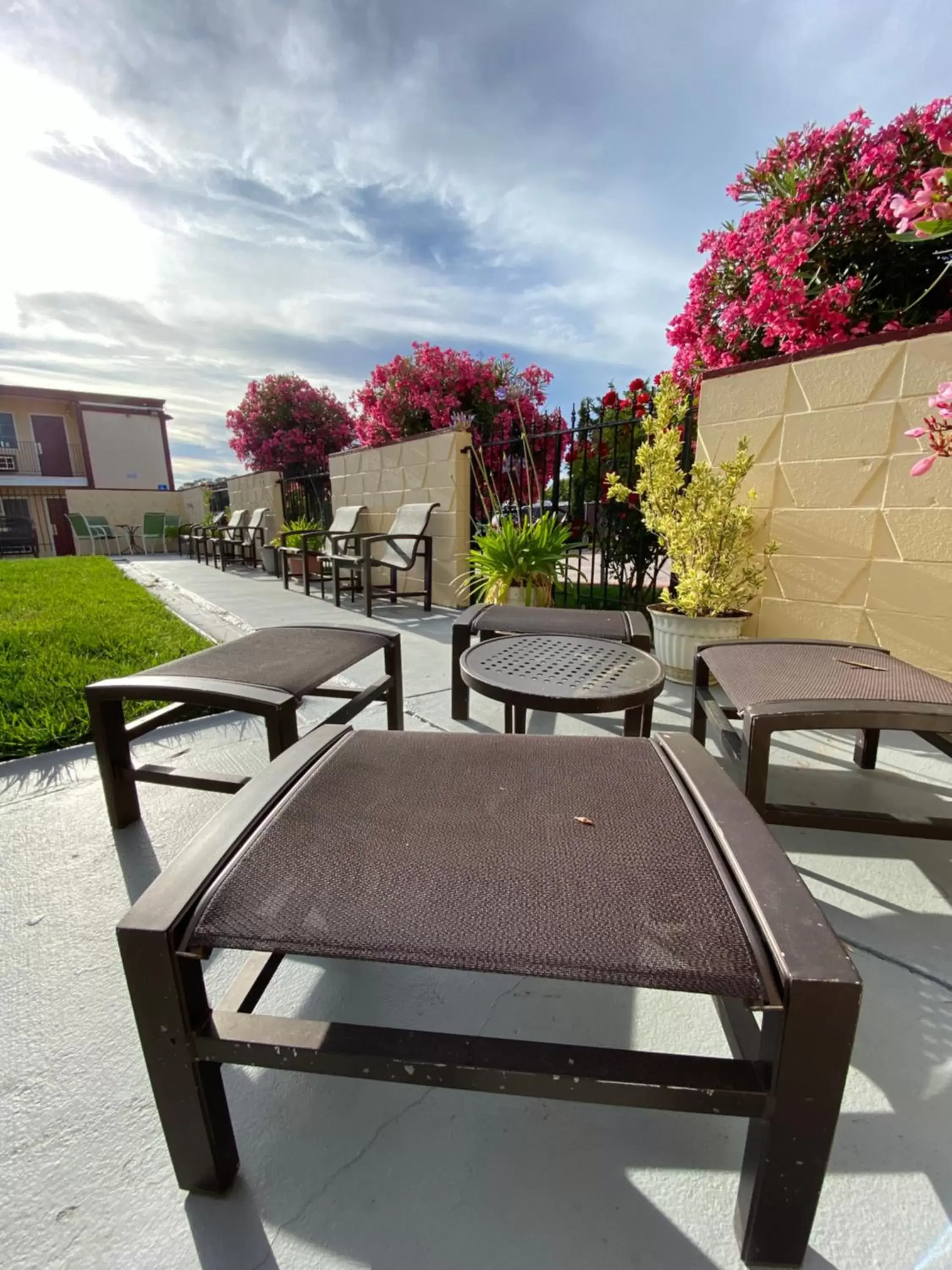 Garden view in Motel 7 - Near Six Flags, Vallejo - Napa Valley