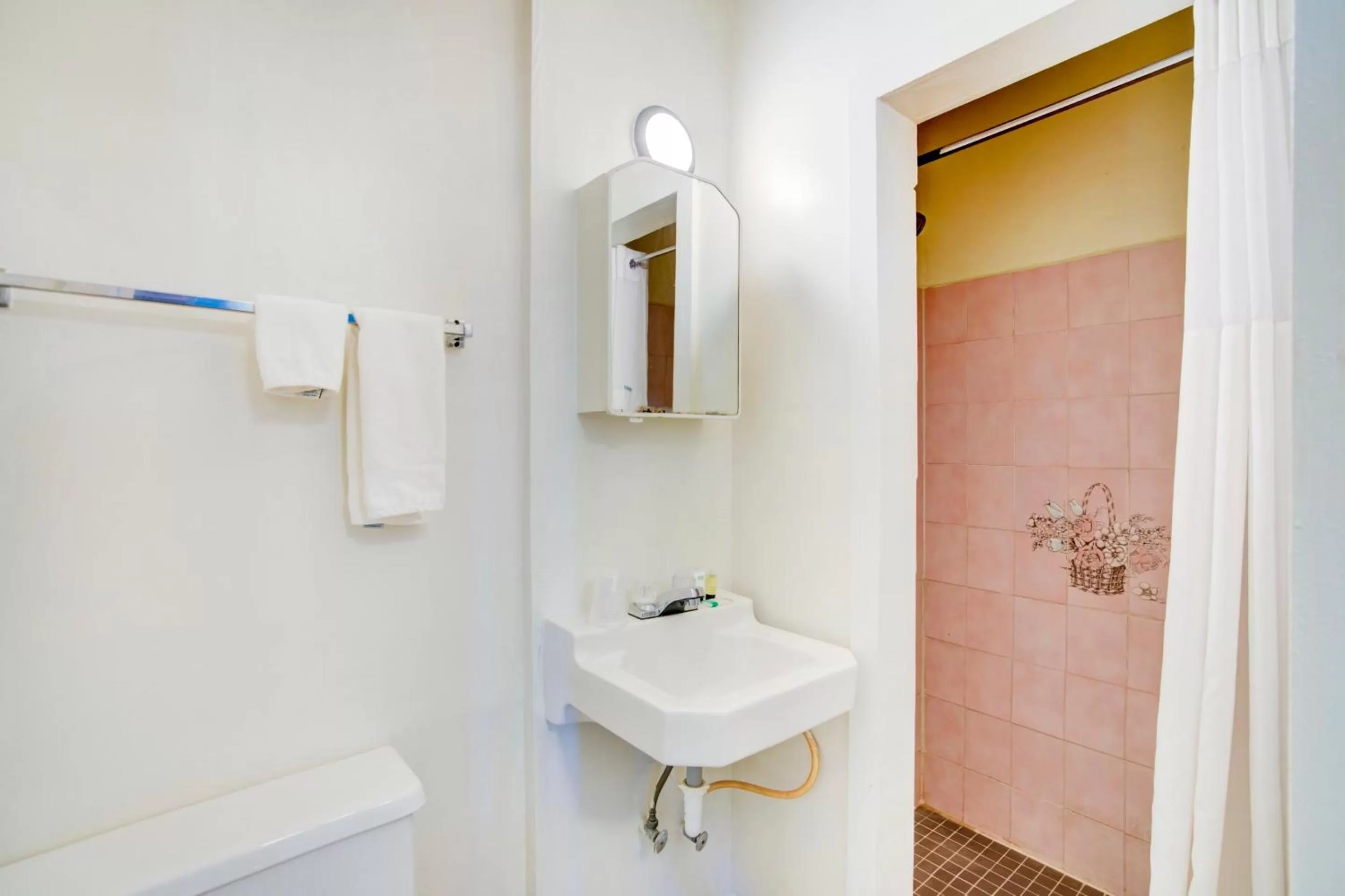 Shower in Rose's Motel