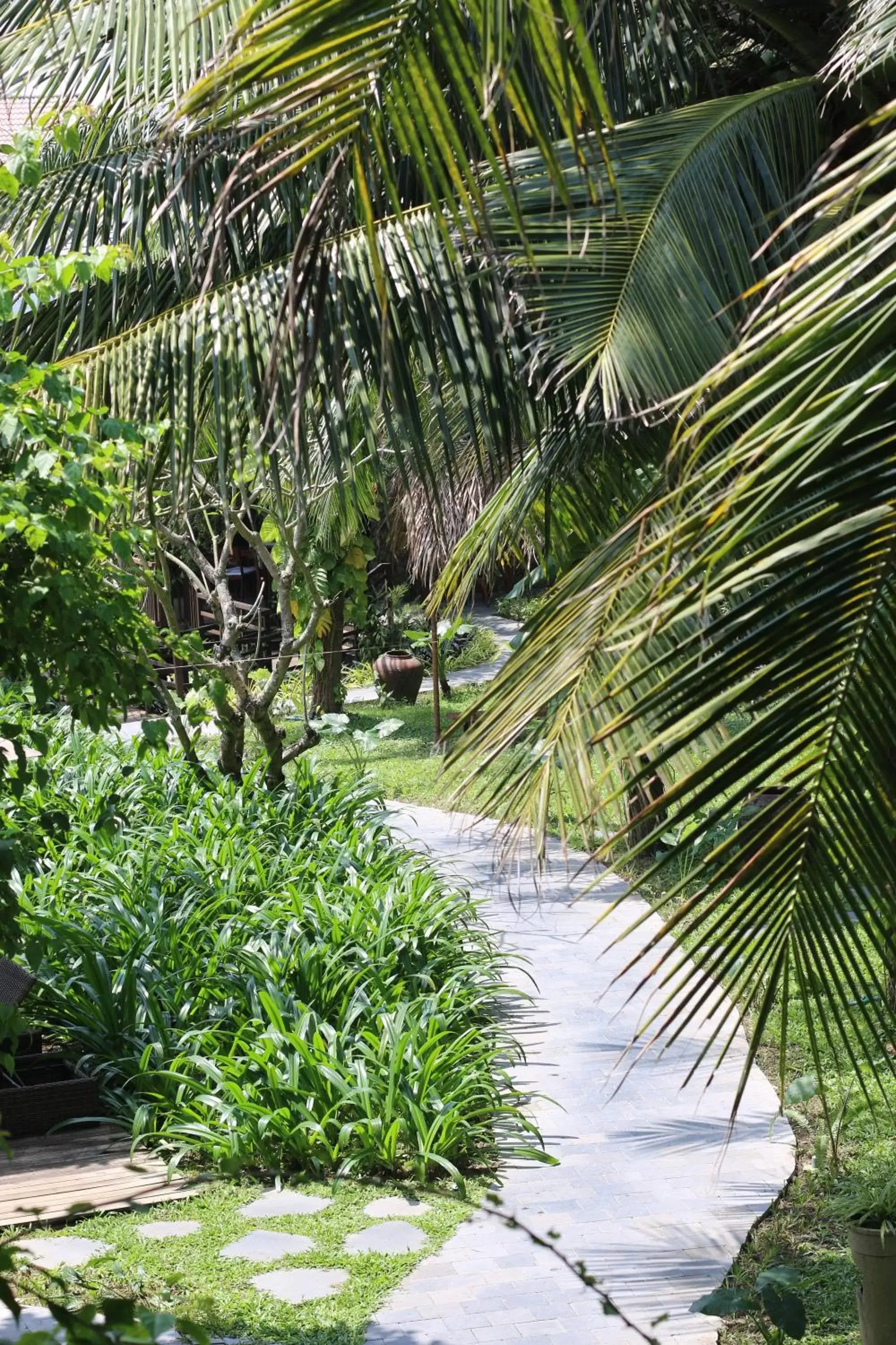 Garden in Hoi An Eco Lodge & Spa