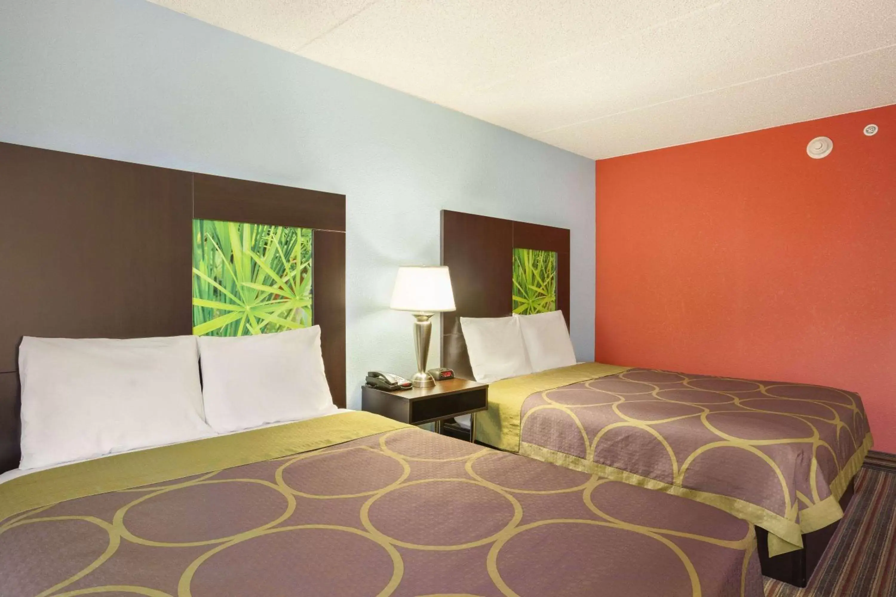 Photo of the whole room, Bed in Super 8 by Wyndham Mount Laurel