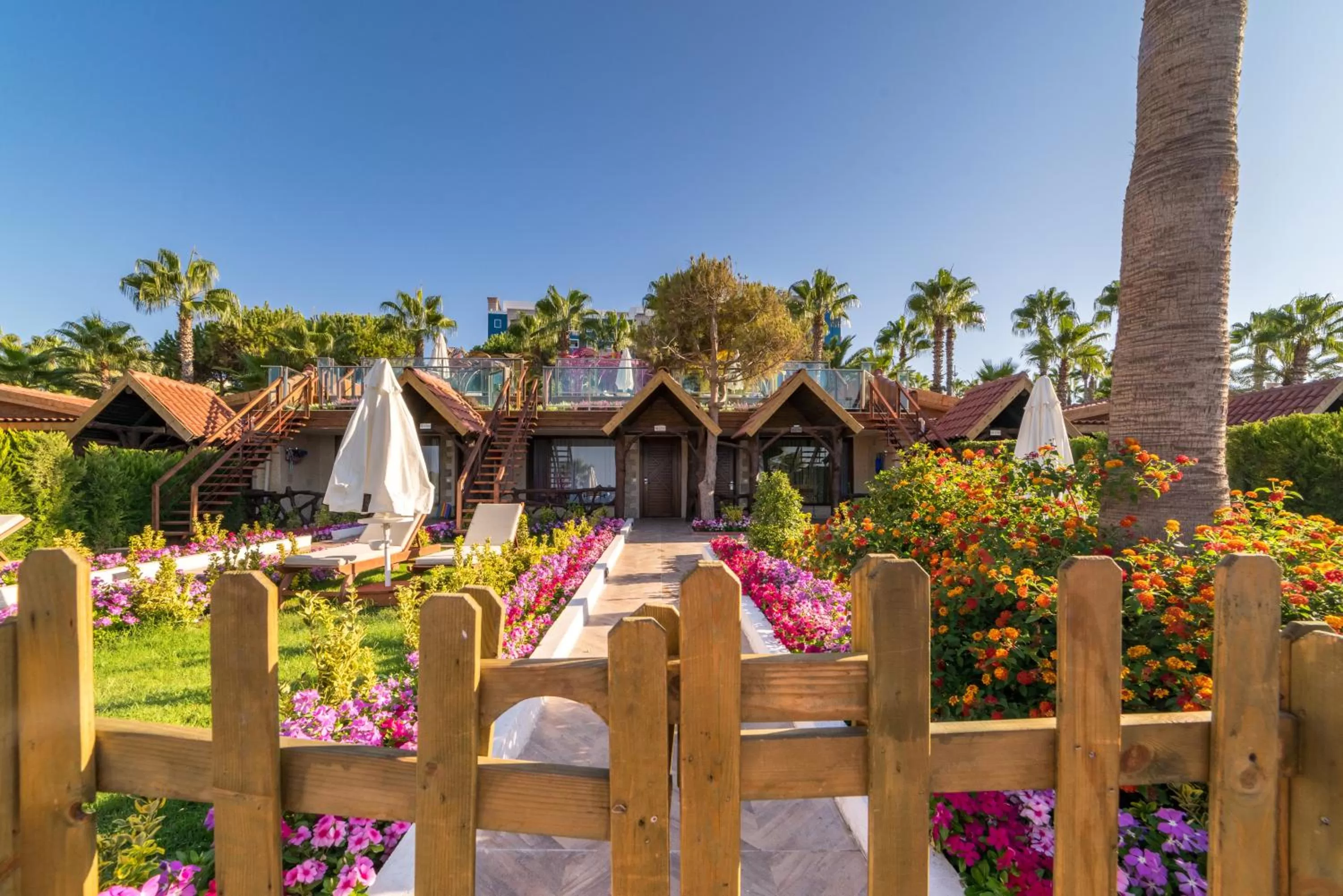 Garden in Kamelya Selin Hotel Luxury Resort & SPA