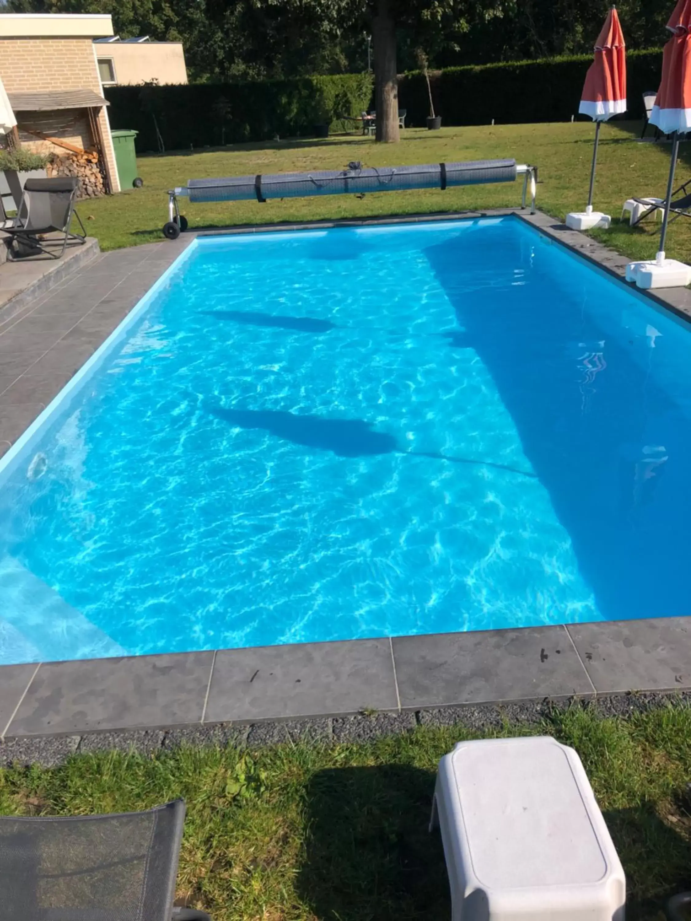 Swimming Pool in B&B Maison Saint Tropez Eindhoven