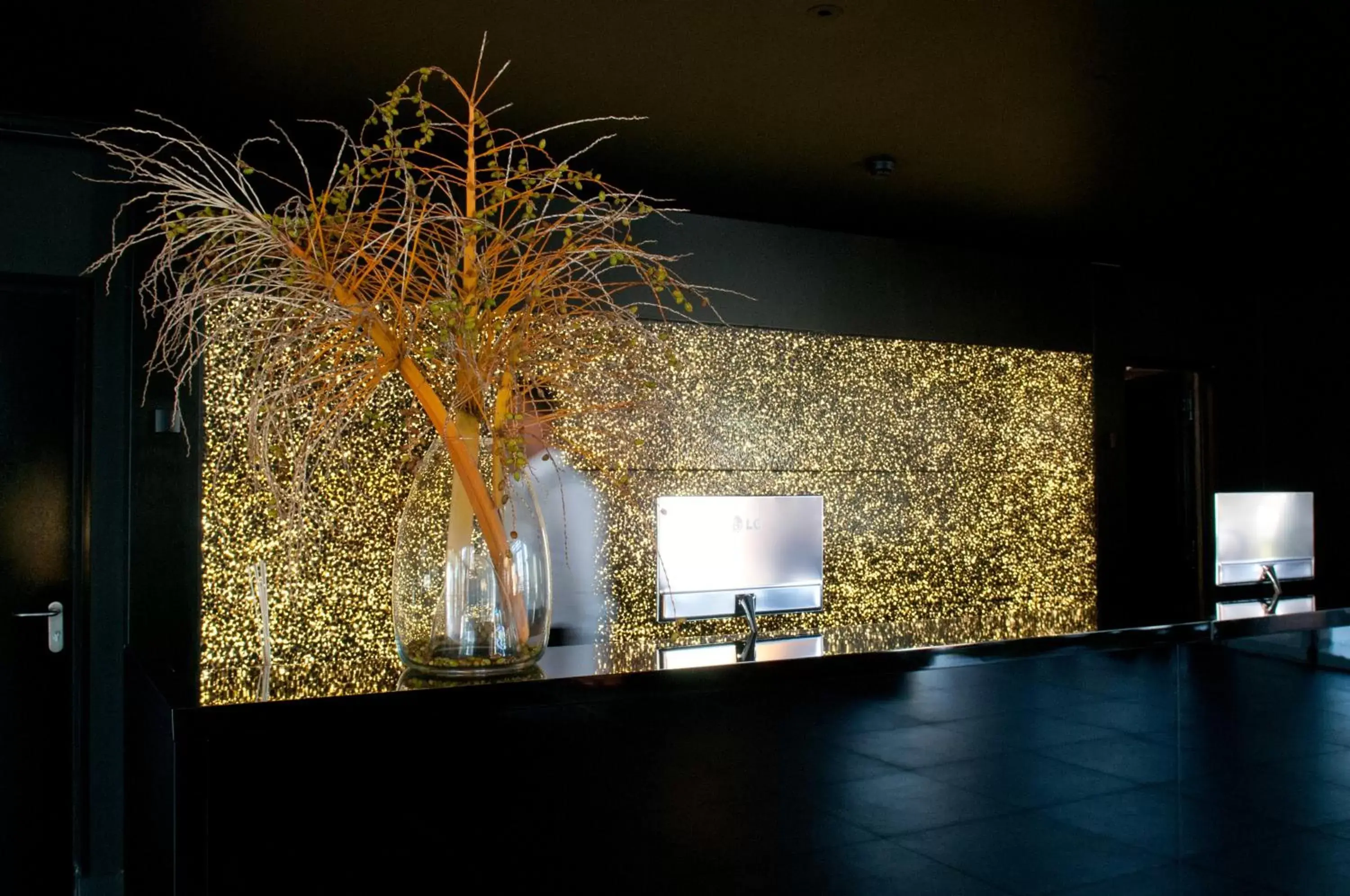 Lobby or reception in Evidencia Belverde Hotel Lobby or reception in Evidencia Belverde Hotel