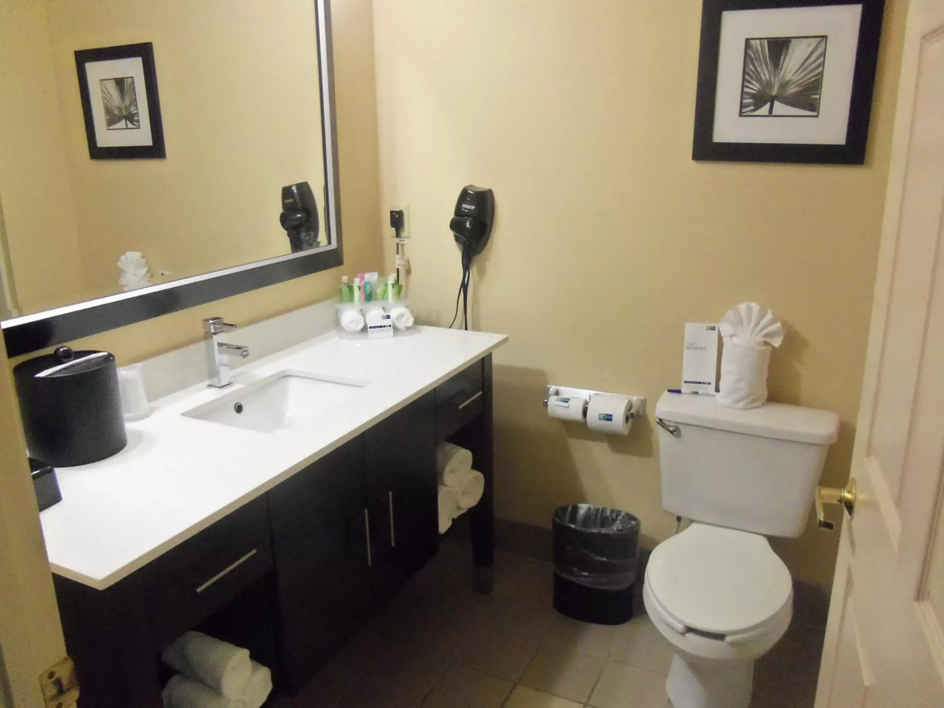 Bathroom in Holiday Inn Express Hotel & Suites Sanford, an IHG Hotel